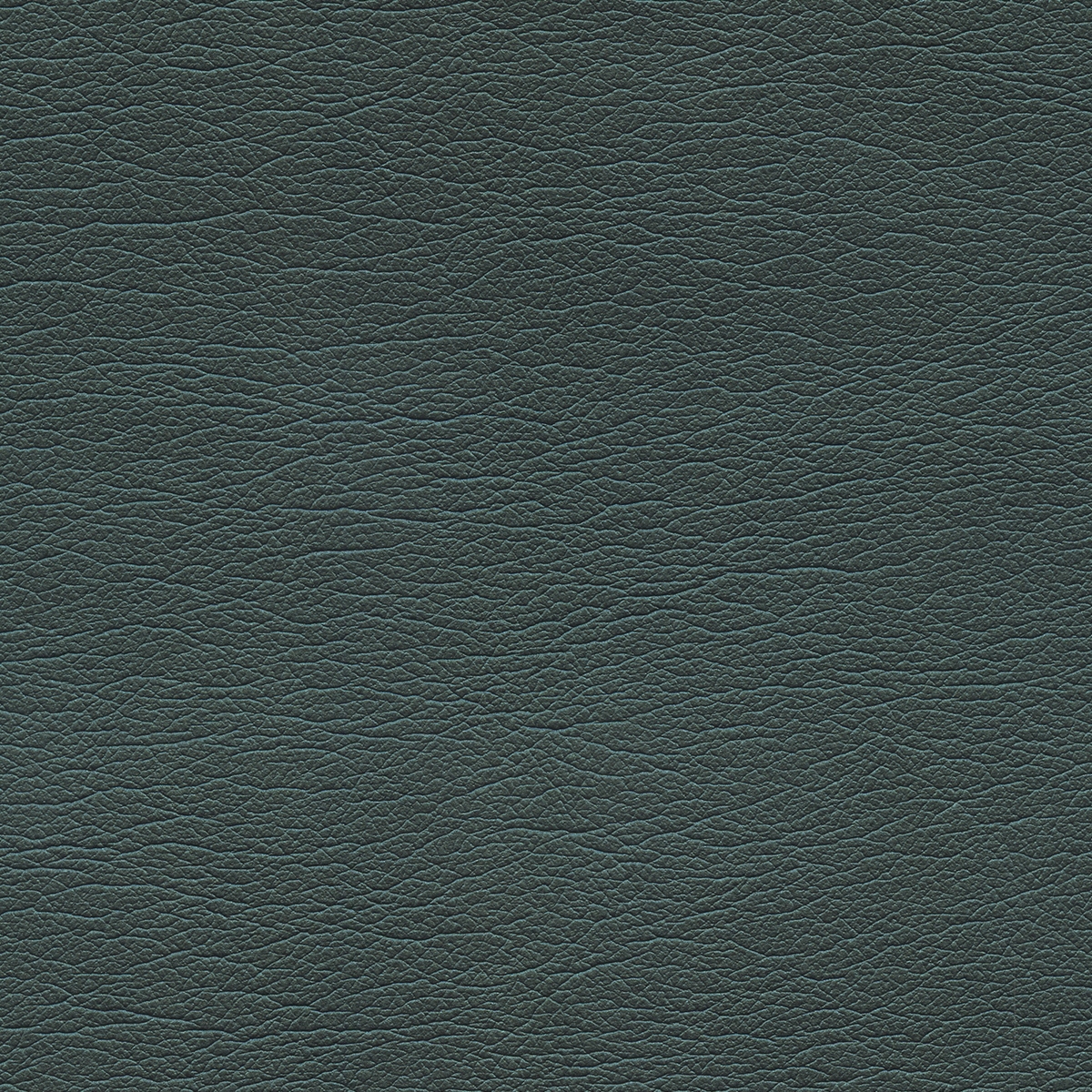 Pearlized | Oz