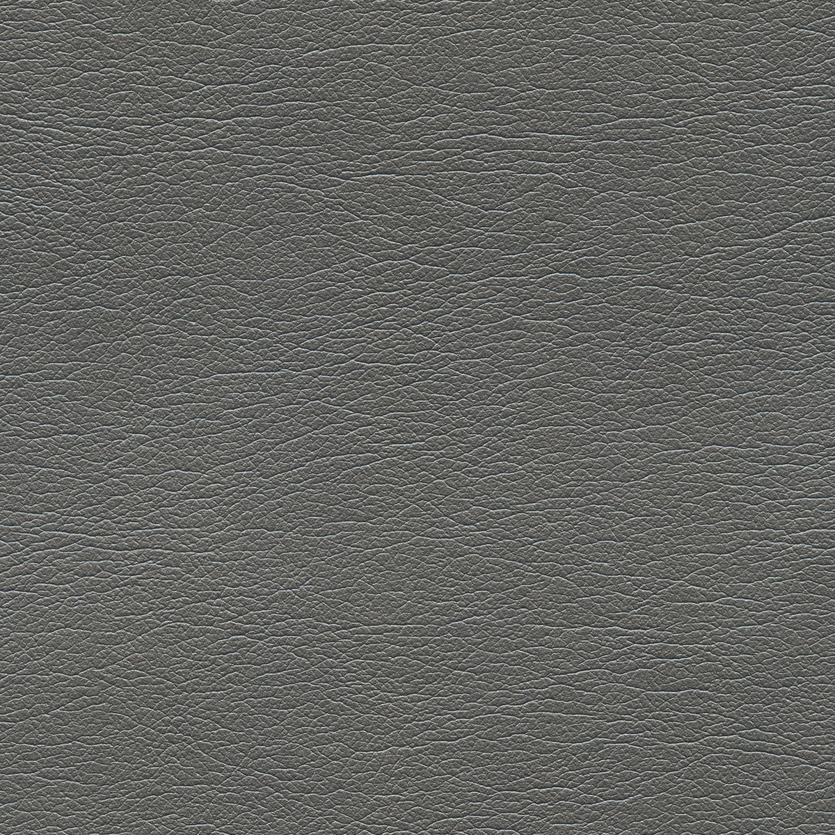 Pearlized | Tin Man