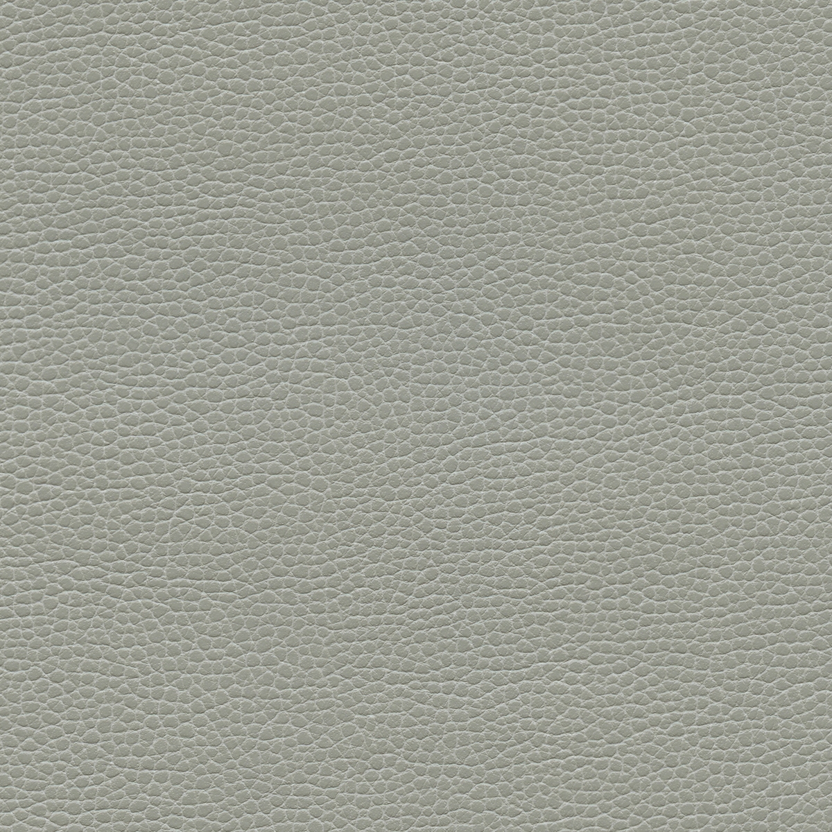 Promessa | Ash