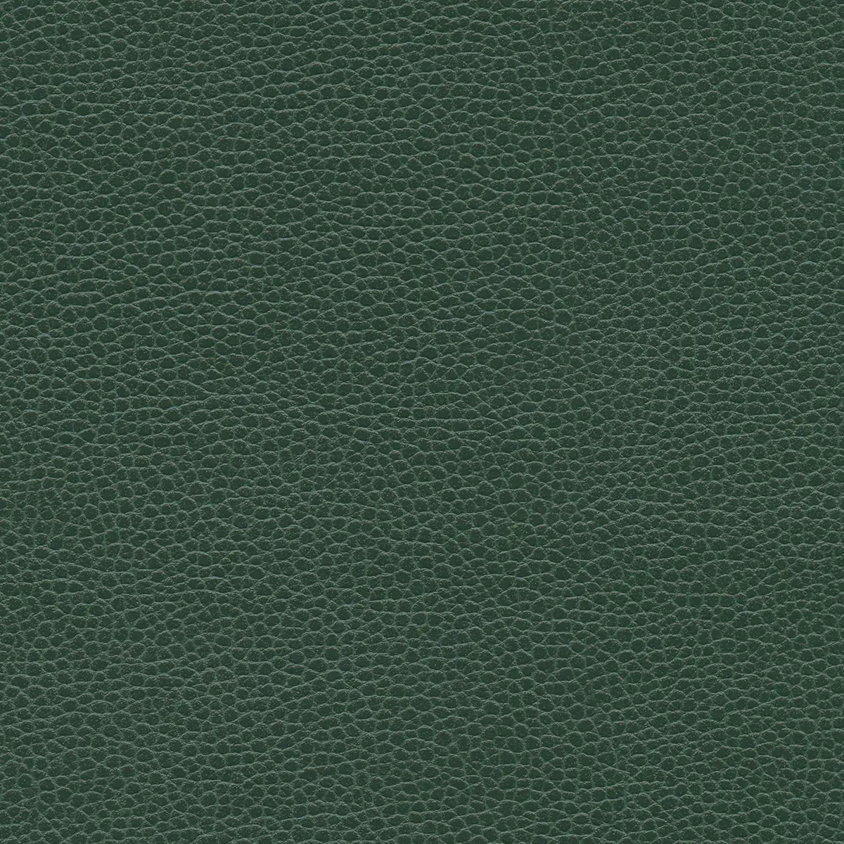 Ultrafabrics - Promessa | Aspen Green