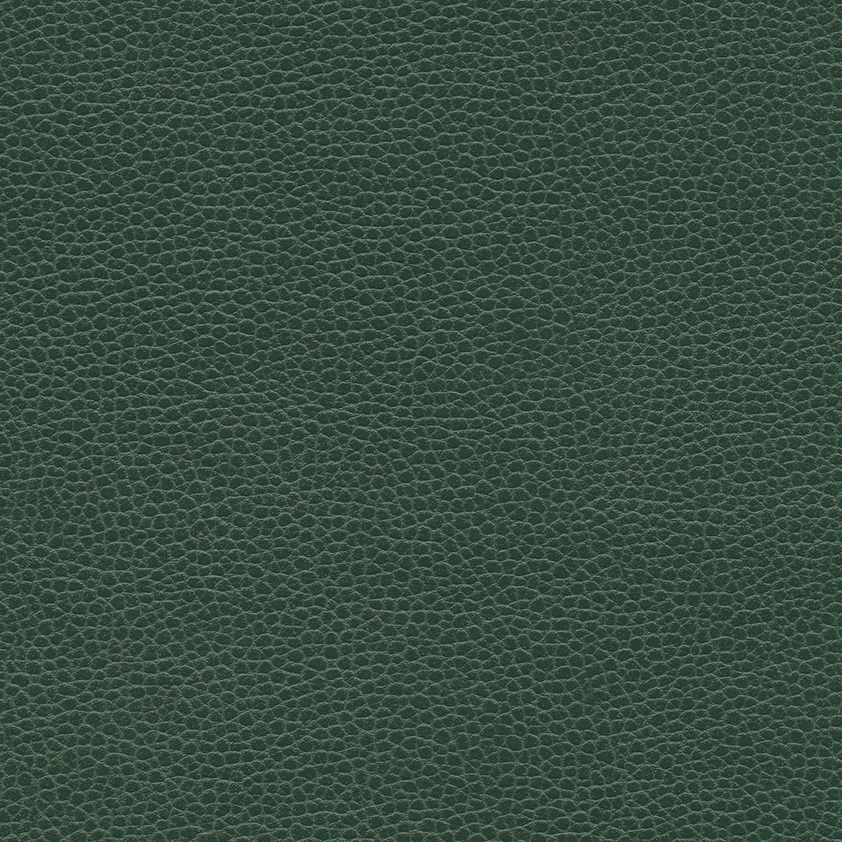 Promessa | Aspen Green