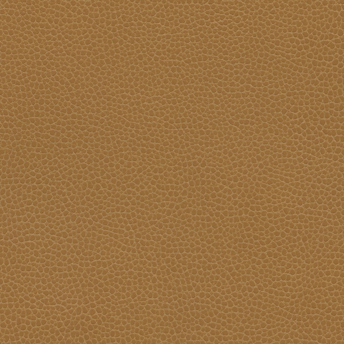 Promessa | Camel