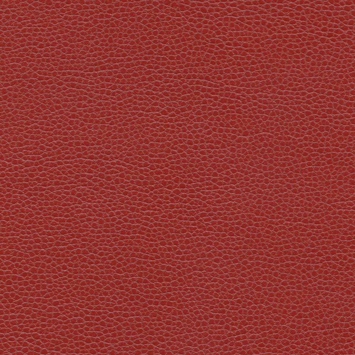 Promessa | Dogwood