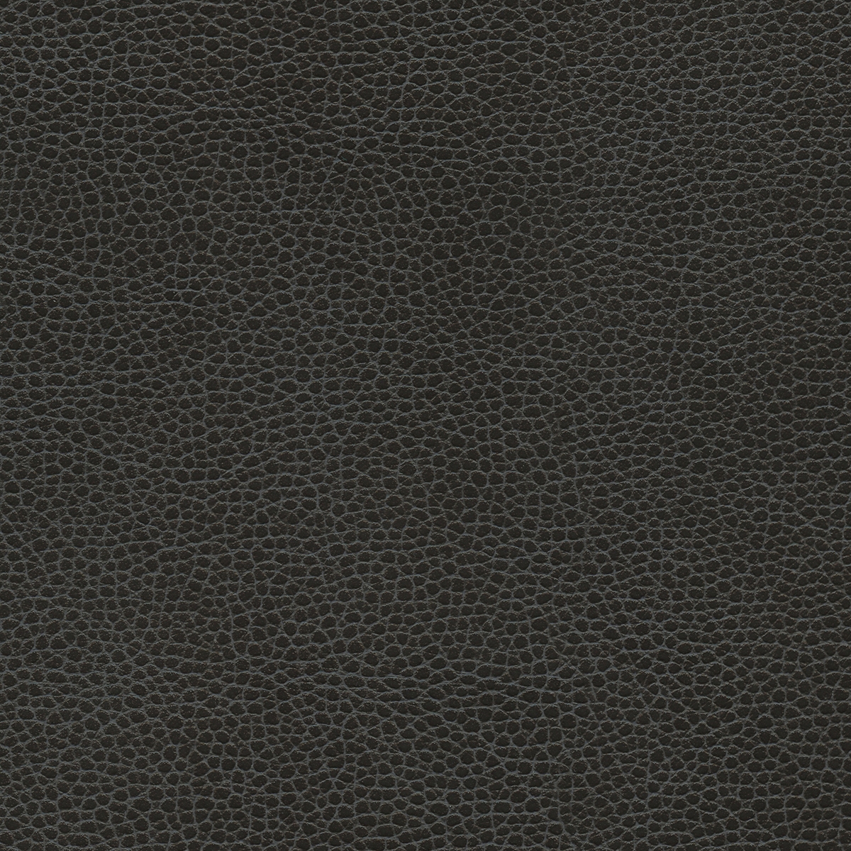 Promessa | Ebony