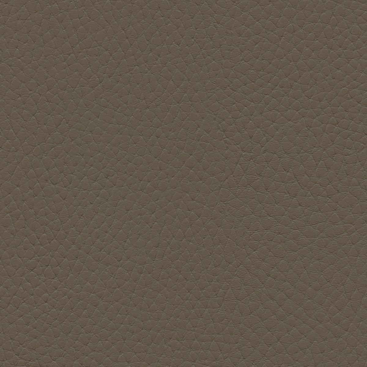 Tottori | Desert Dune