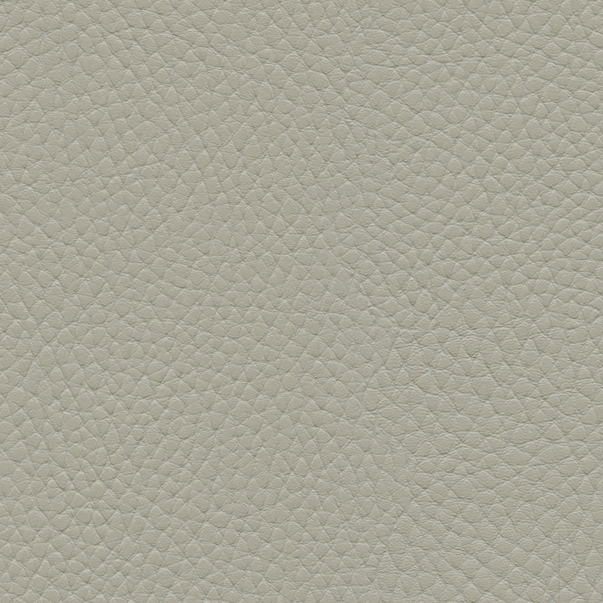 Tottori | Rice Paper