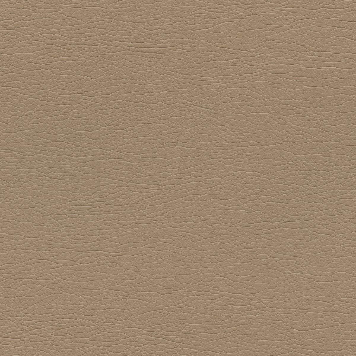 Ultraleather | Cashmere