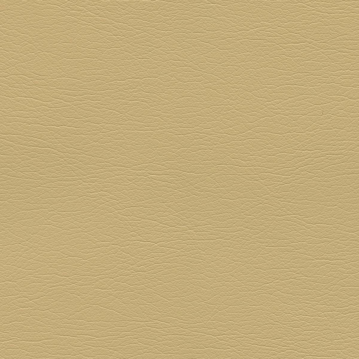 Ultraleather | Chamois