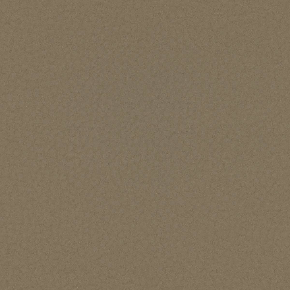 Volar Bio | Bramble