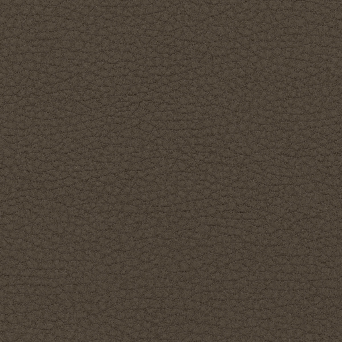 Volar Bio | Cafe Noir