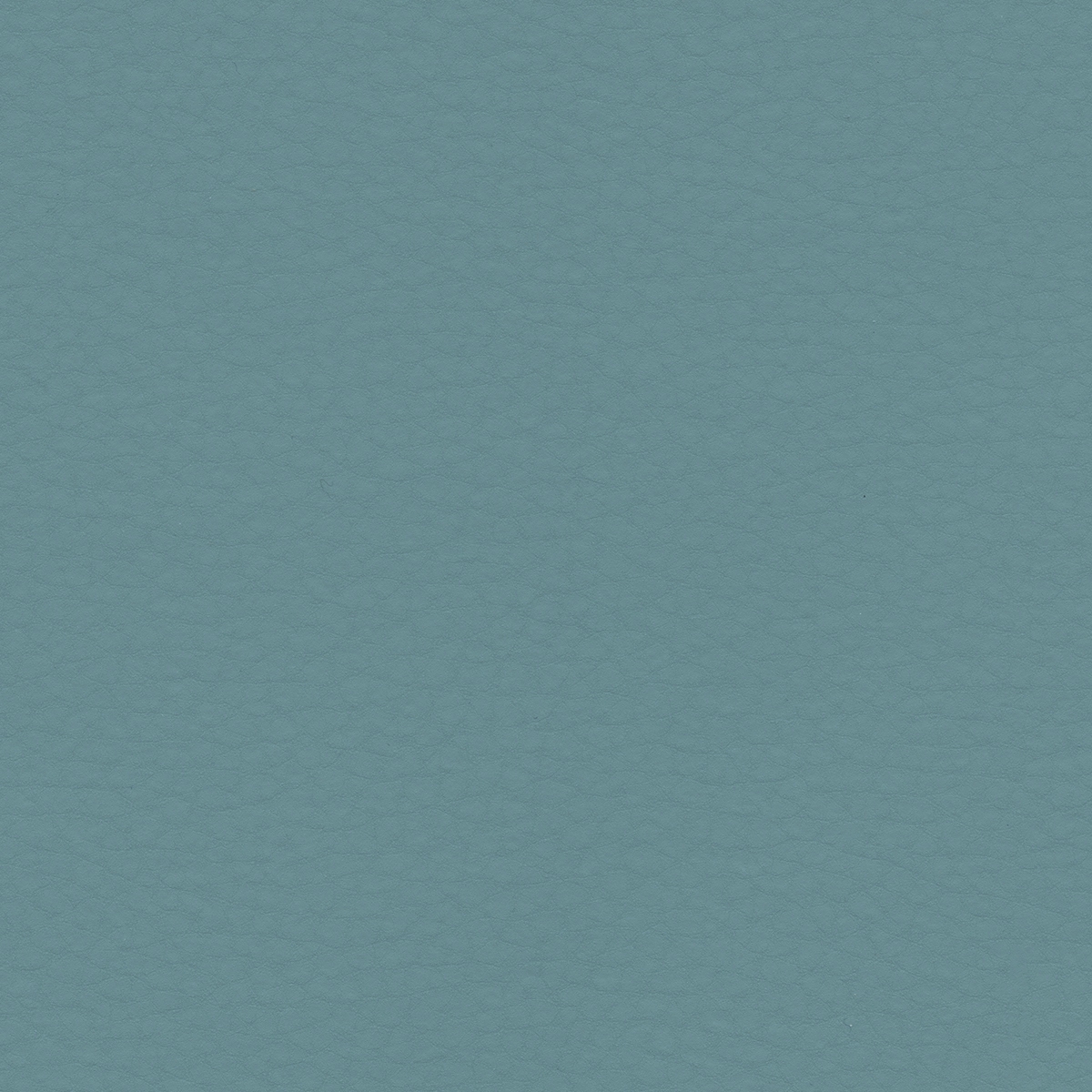 Volar Bio | Mint