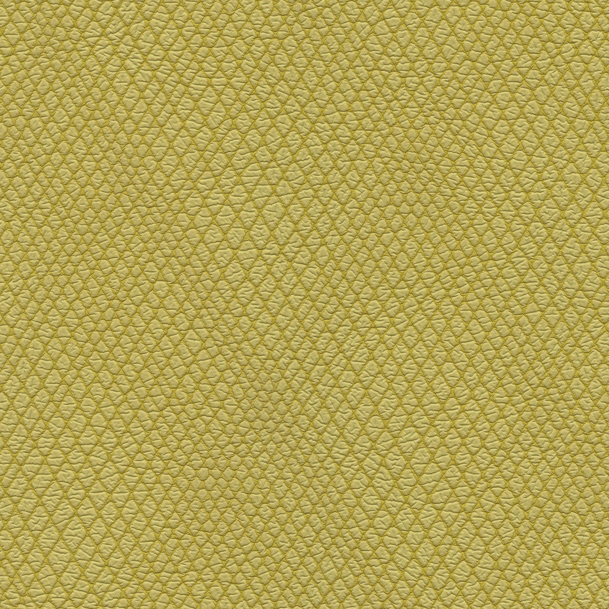 Wired | Lemon Drop