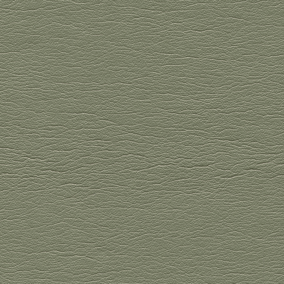 Pearlized | Beryl Green
