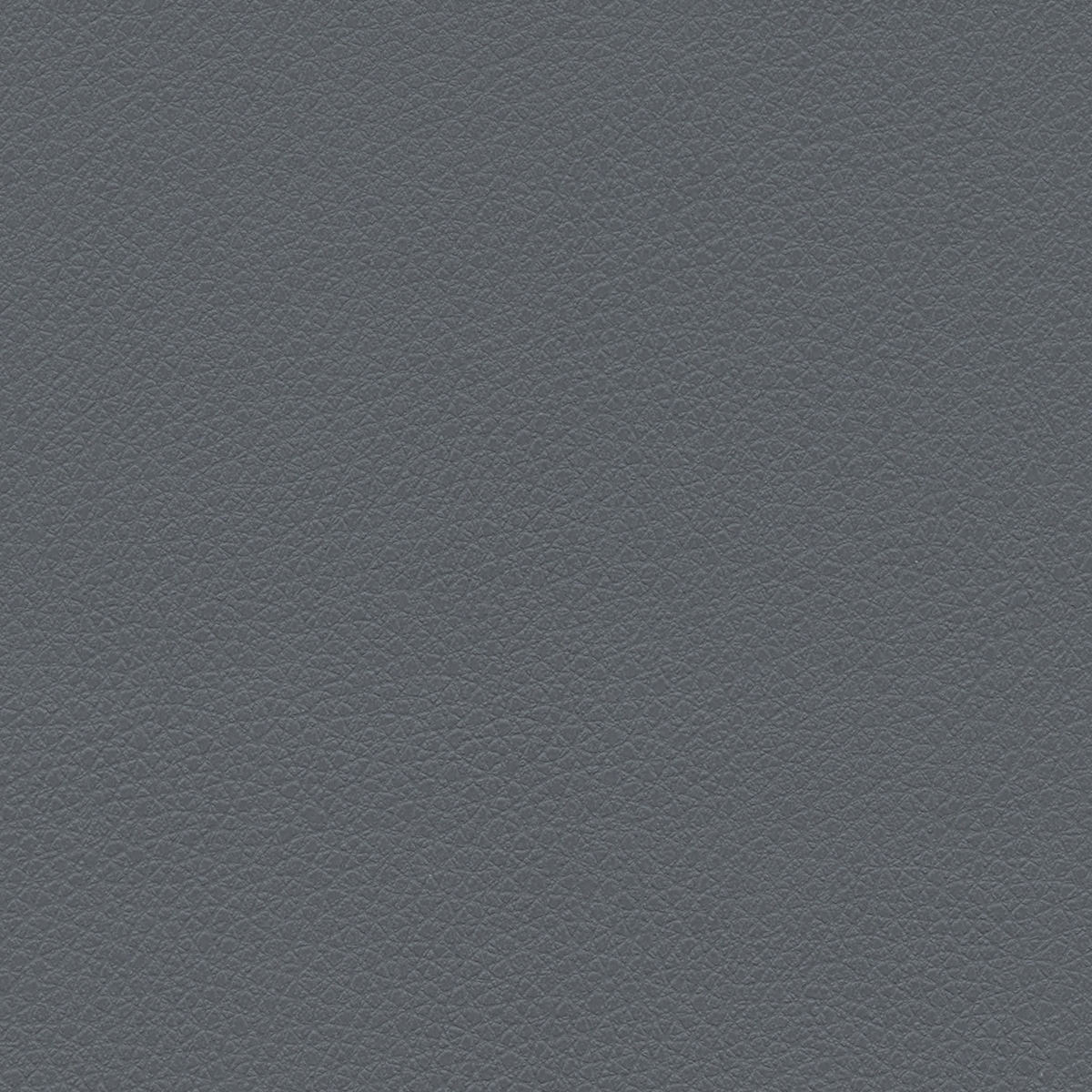 Pumice | Anchor Gray