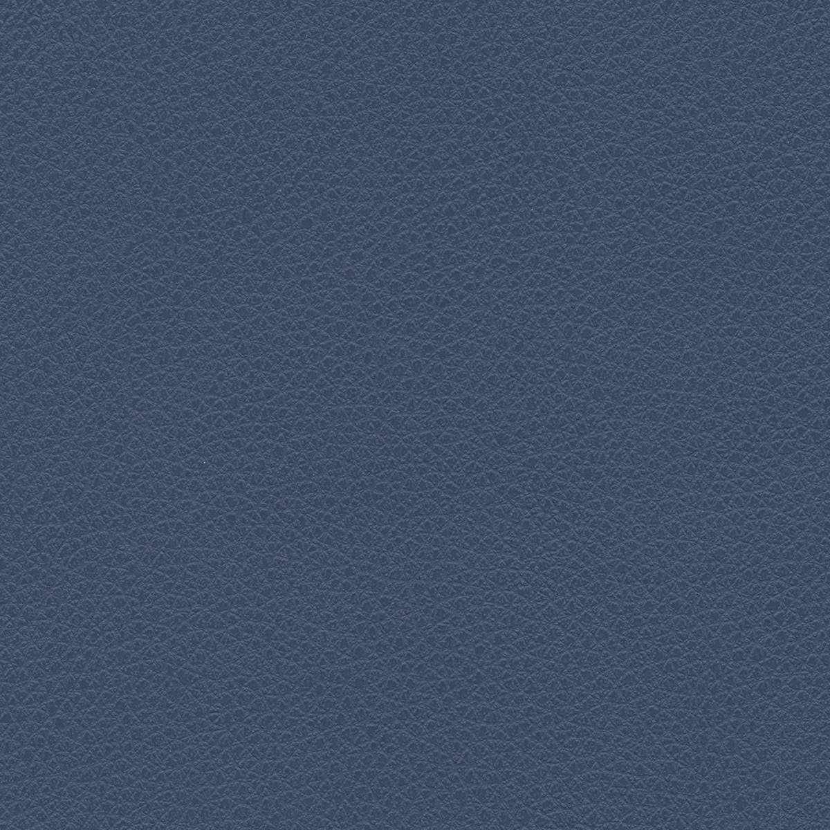 Pumice | Hightide