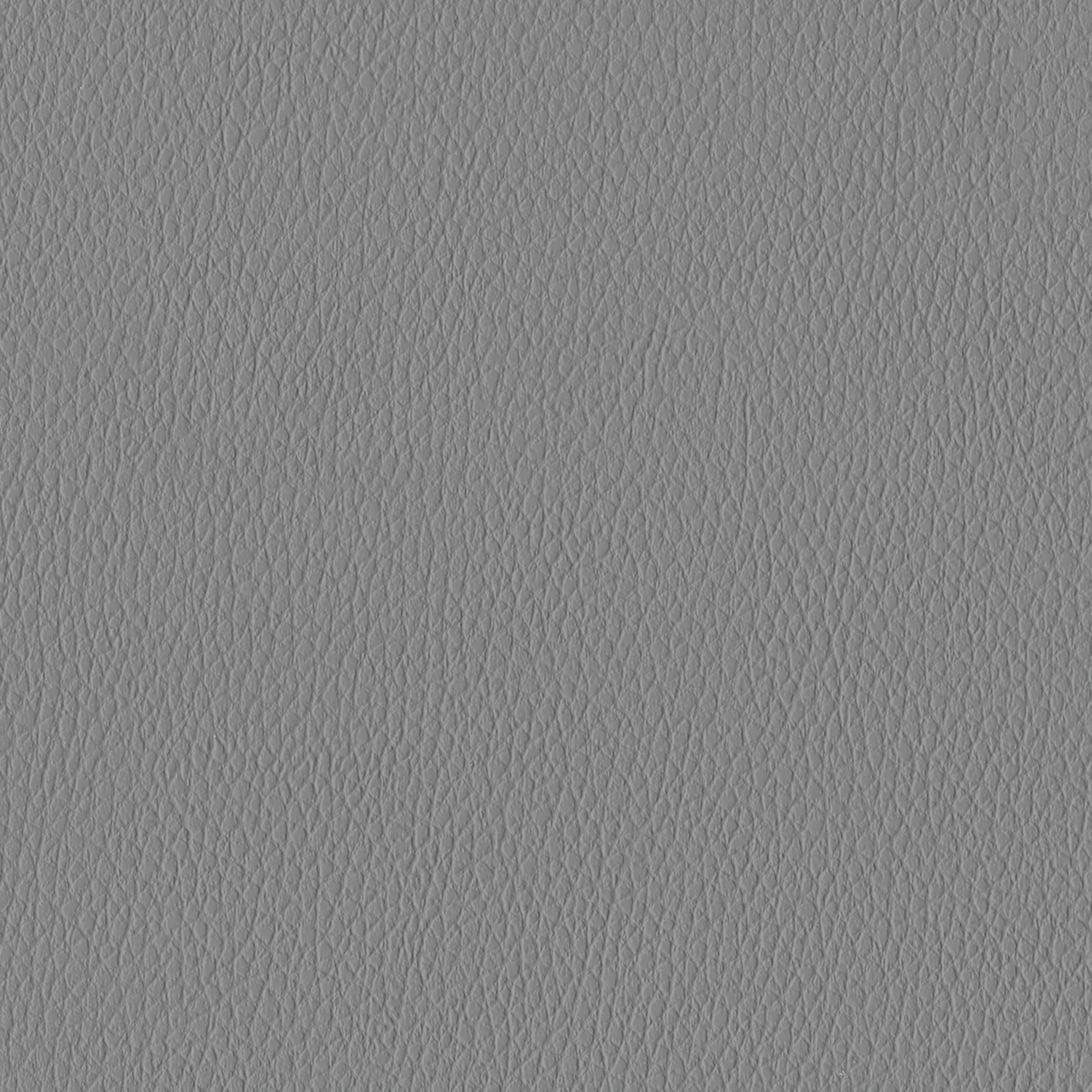 Pumice | Pewter Cast