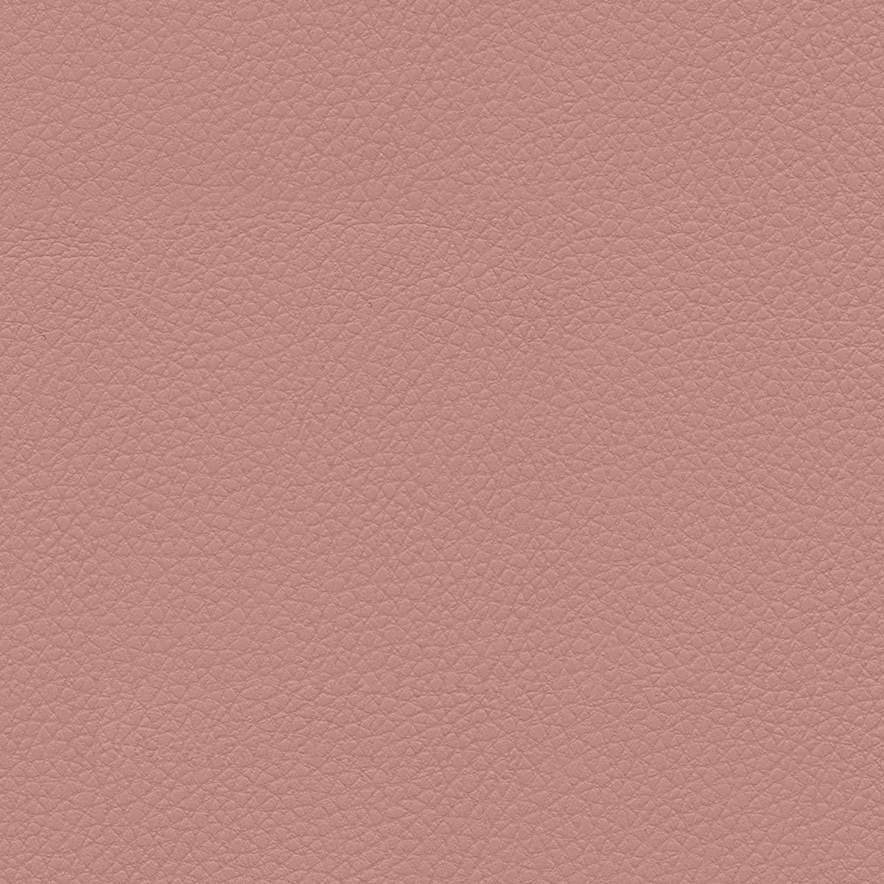 Pumice | Coral Glow