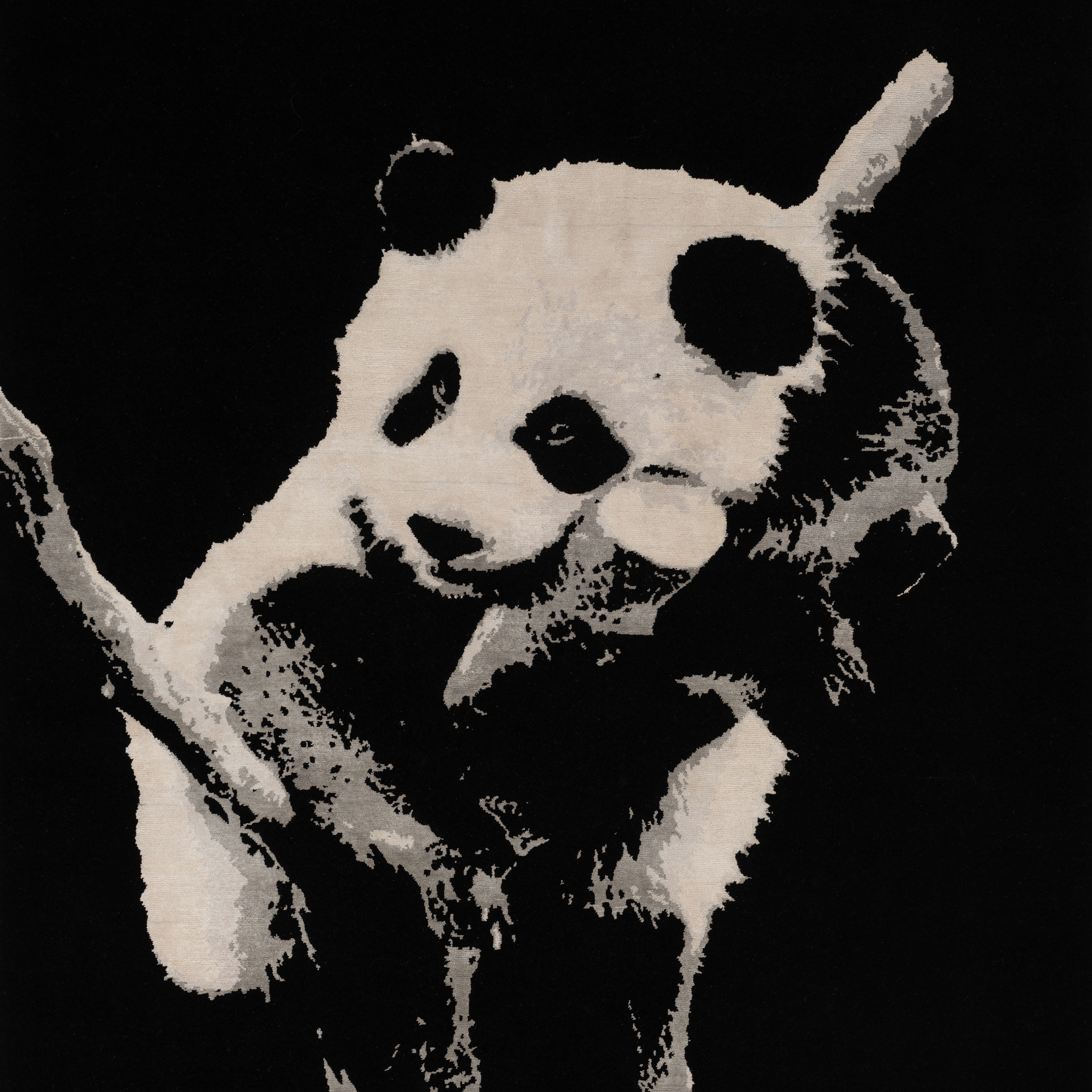 Mostrar el producto The Panda del fabricante D.S.V. CARPETS