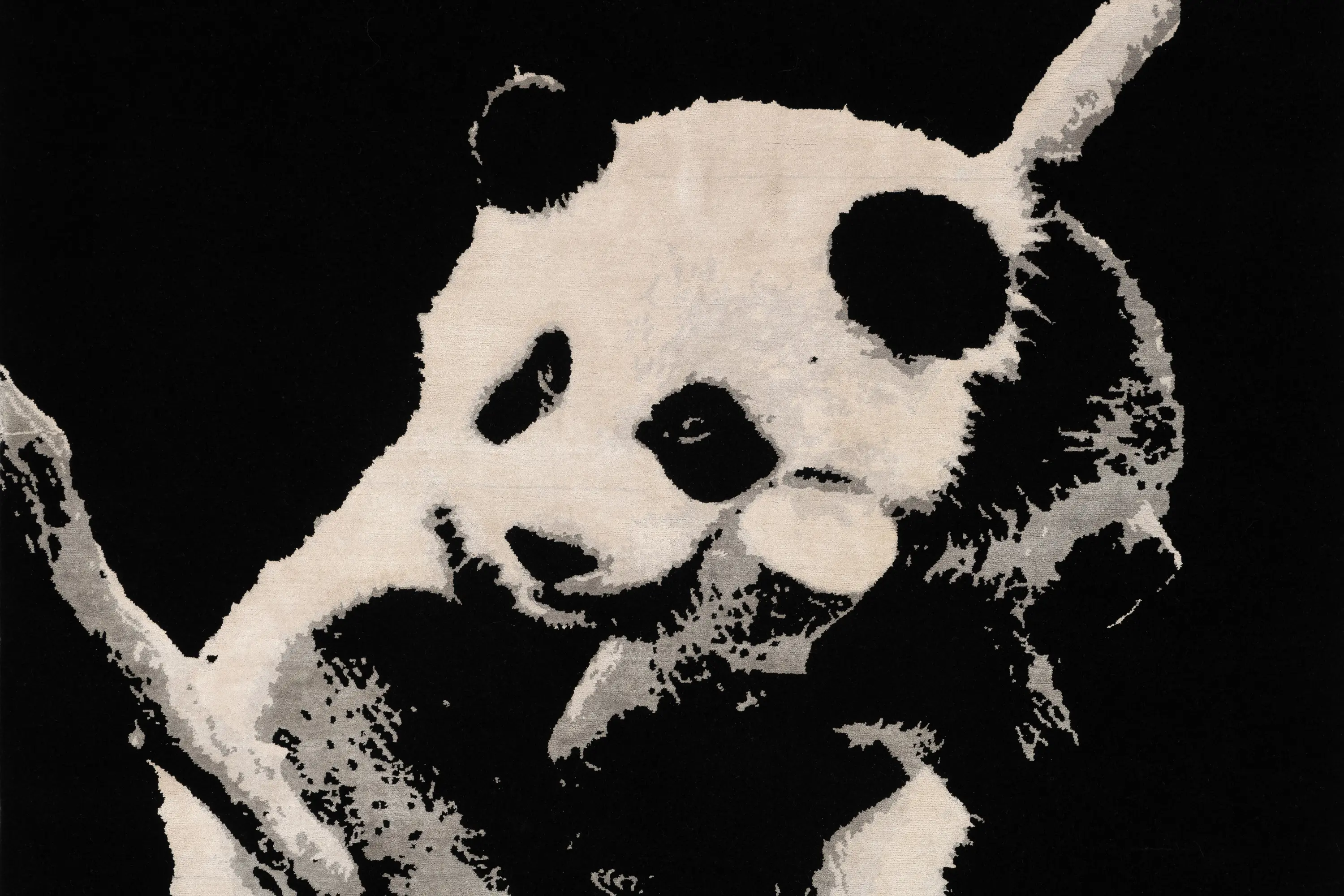 D.S.V. CARPETS - The Panda