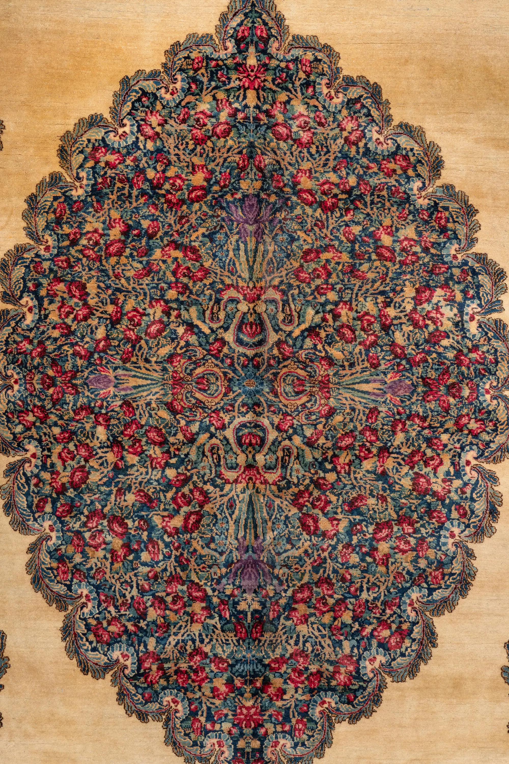 D.S.V. CARPETS - Kirman