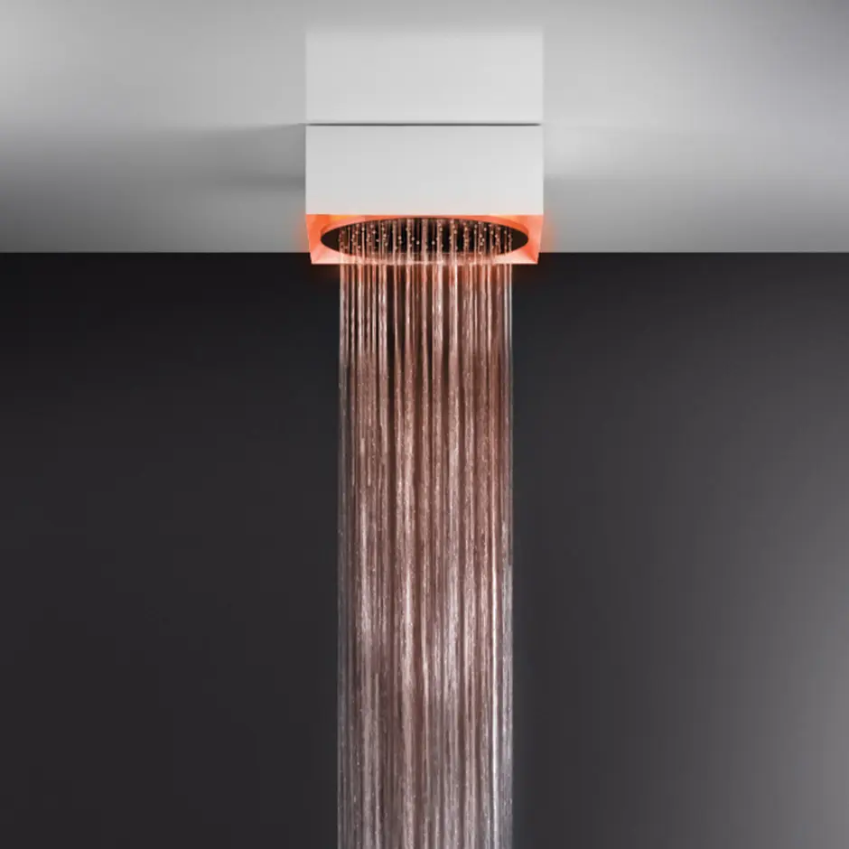 GESSI - Afilo