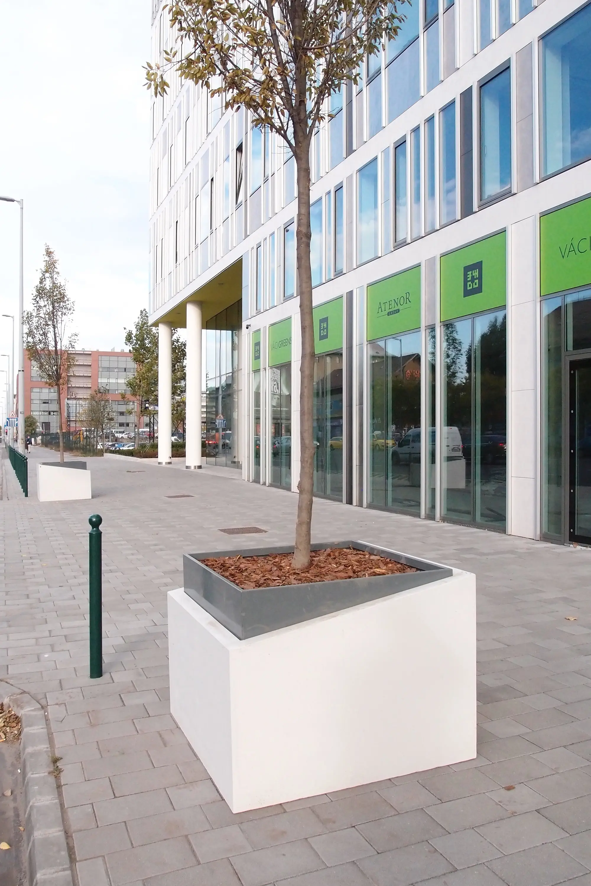 VPI Concrete - Planta | Concrete Planter