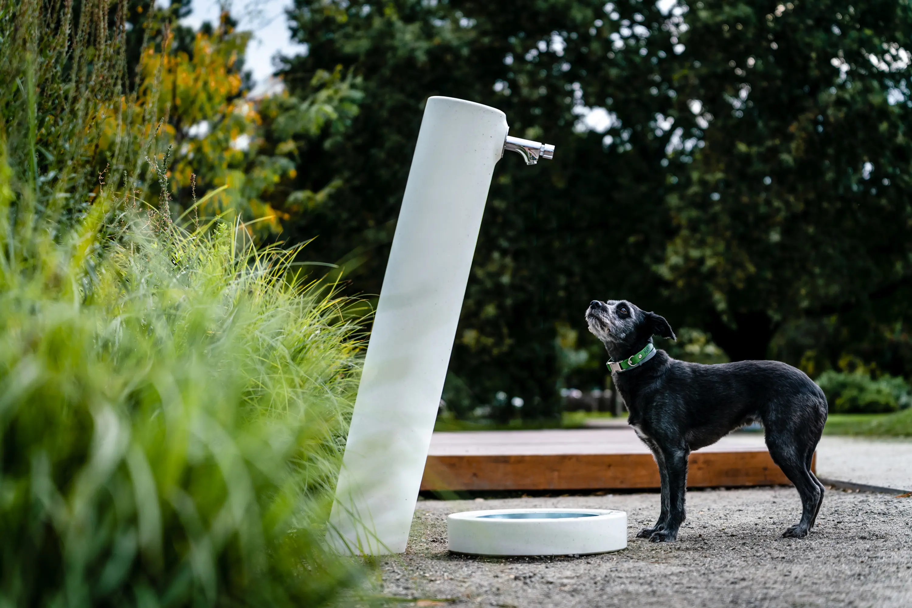 VPI Concrete - Fred | Drinking fountain with a dog drinking bowl