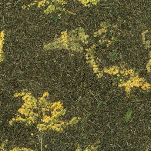 Viaplant Resin
