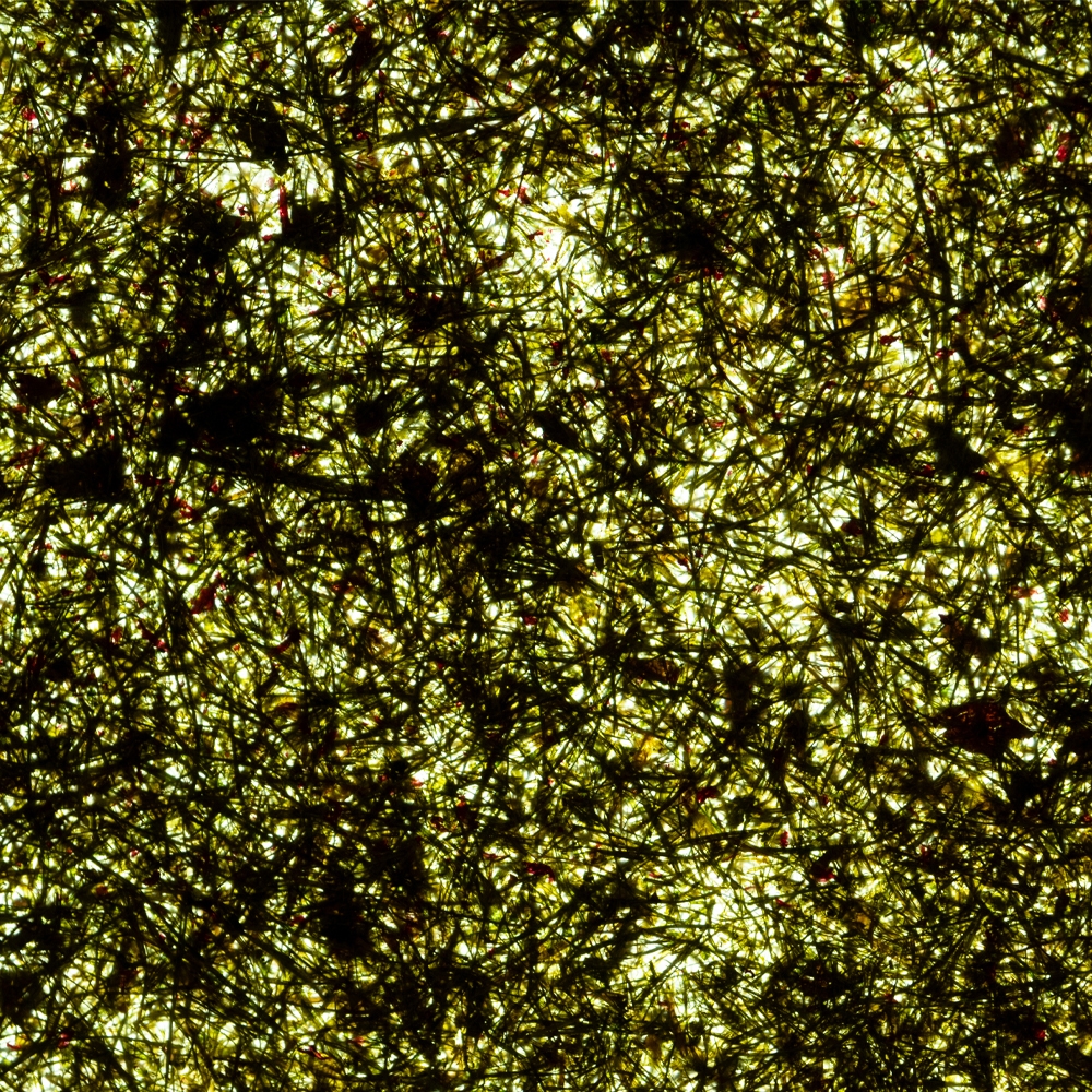 Viaplant Resin