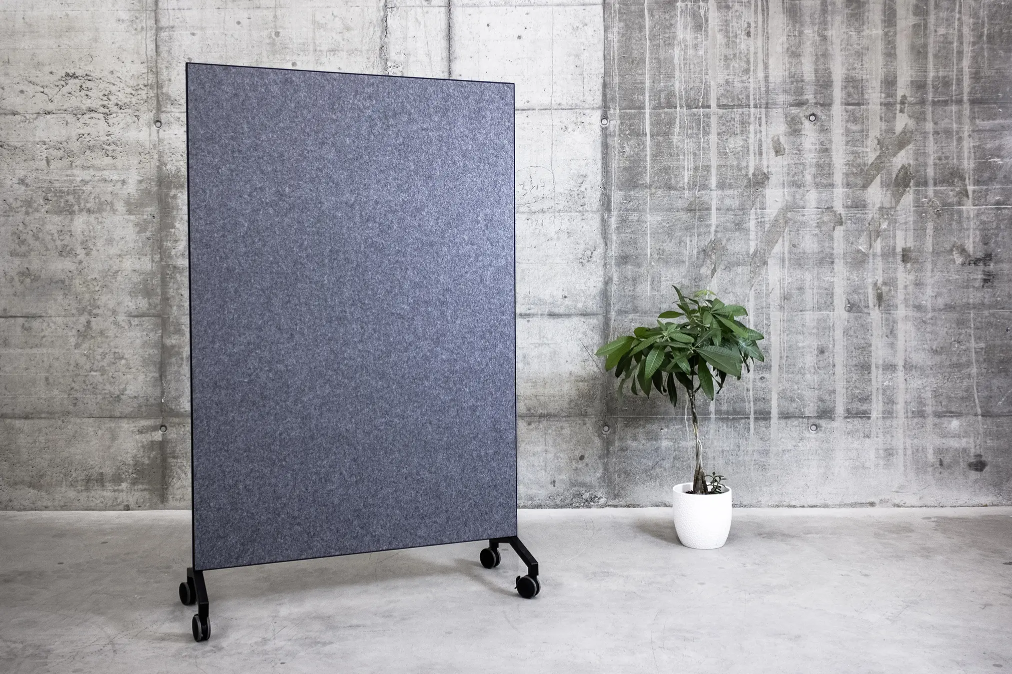 ECHOJAZZ - EchoNote® STANDARD