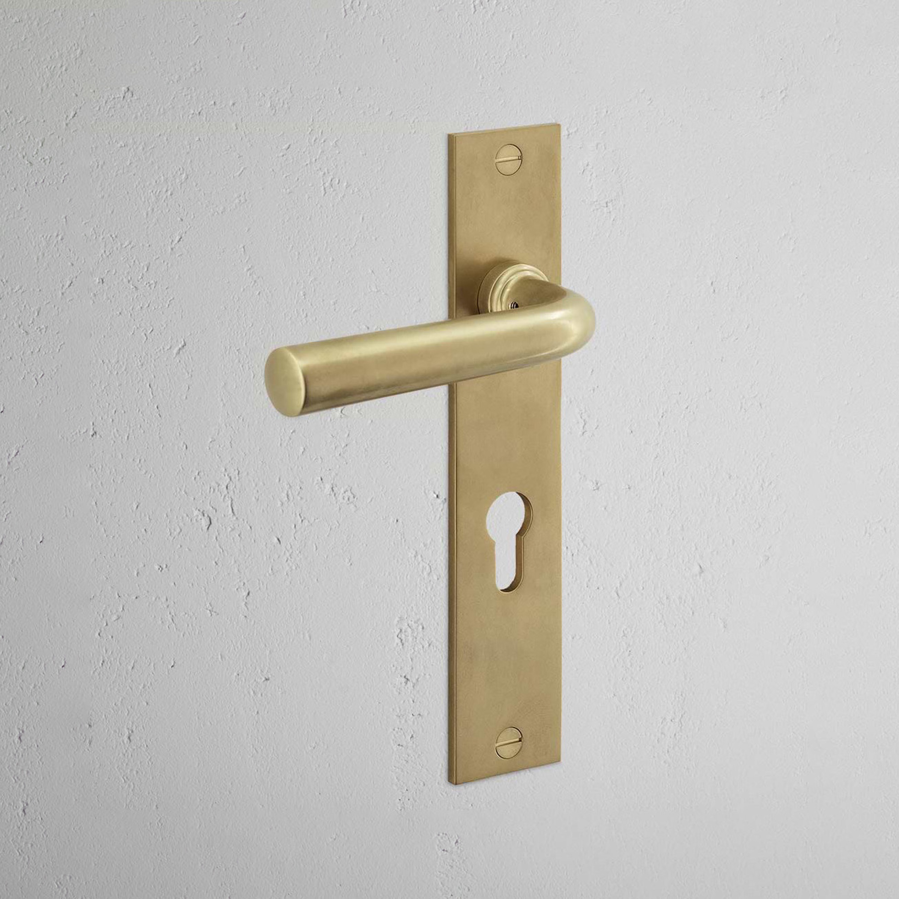 Apsley Long Plate Sprung Door Handle