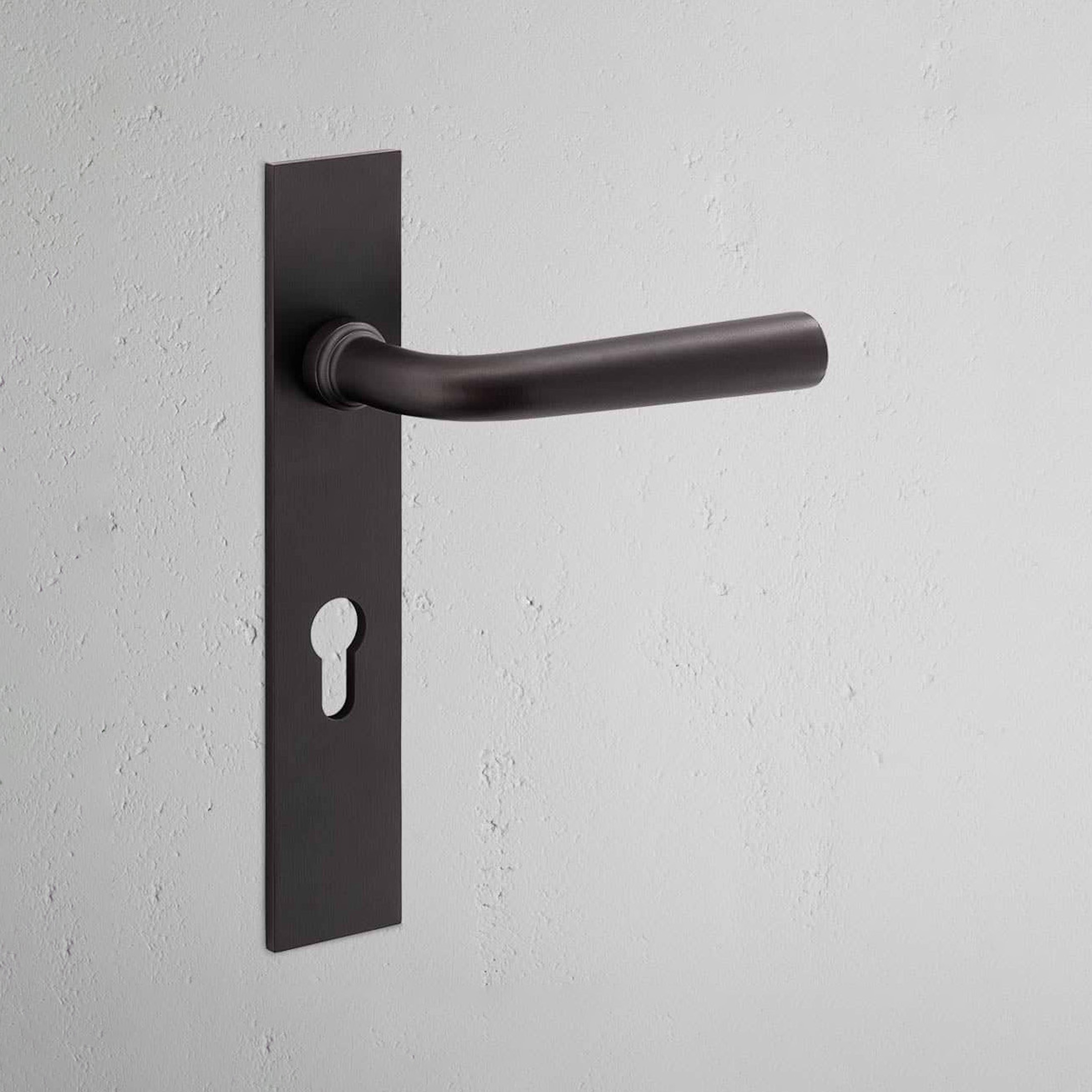 Apsley Long Plate Sprung Door Handle