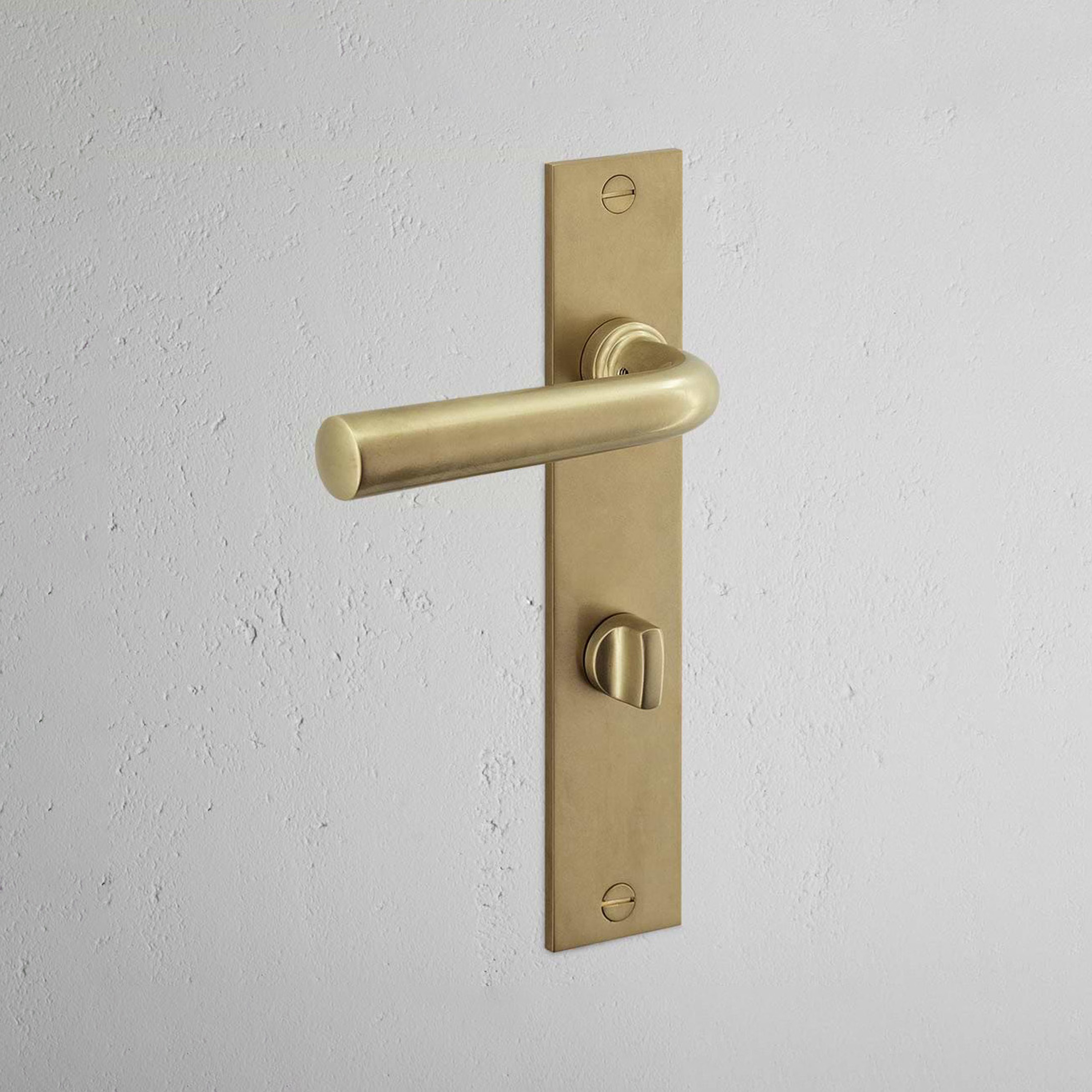 Apsley Long Plate Sprung Door Handle & Euro Lock