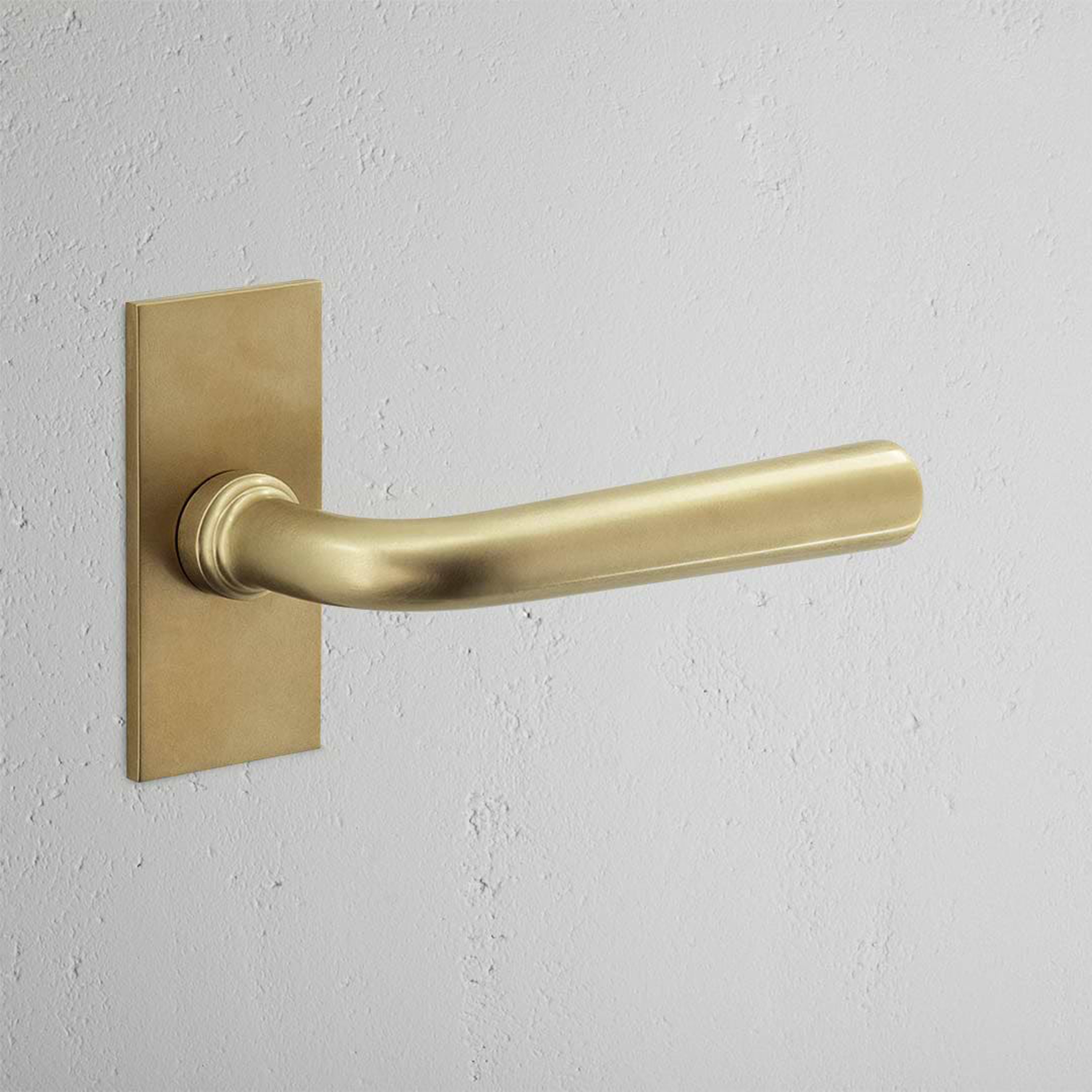 Display product Apsley Short Plate Sprung Door Handle from manufacturer Corston Architectural Detail