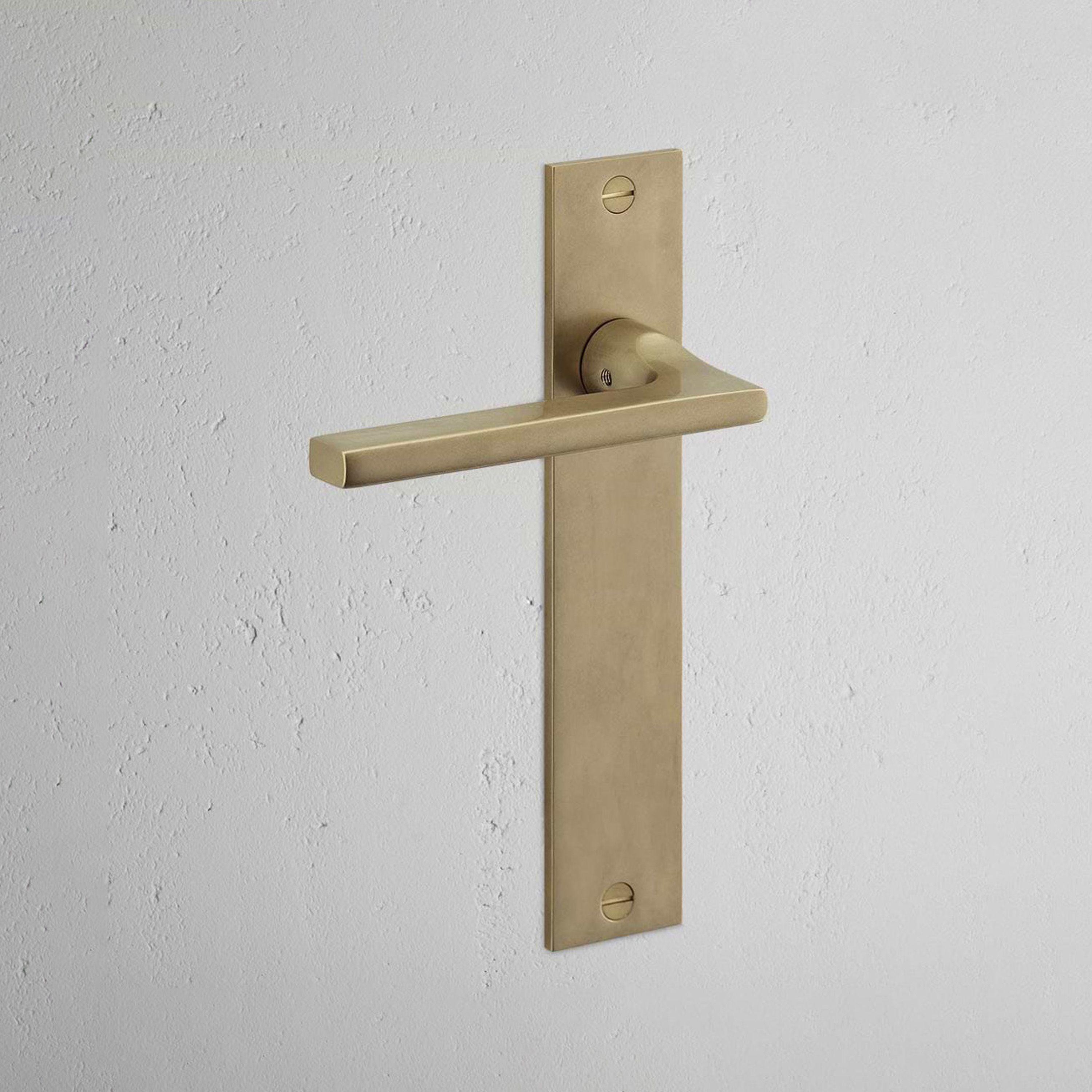 Display product Clayton Long Plate Fixed Door Handle from manufacturer Corston Architectural Detail