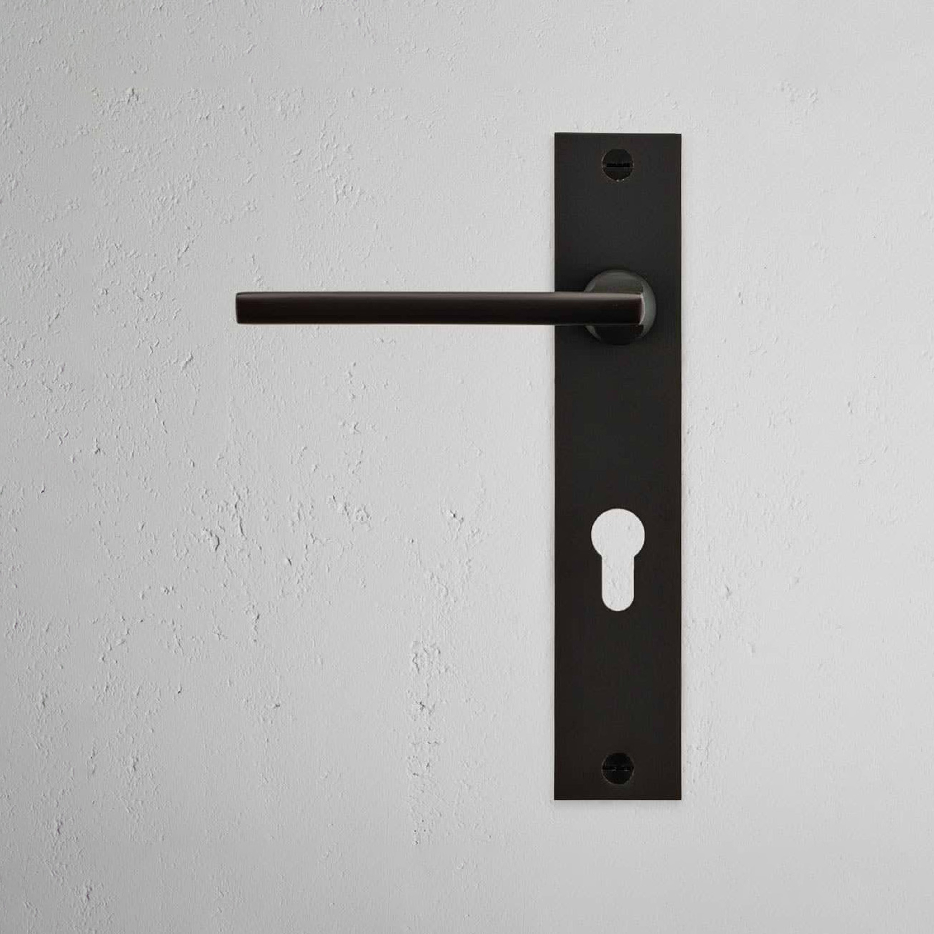 Display product Clayton Long Plate Sprung Door Handle from manufacturer Corston Architectural Detail