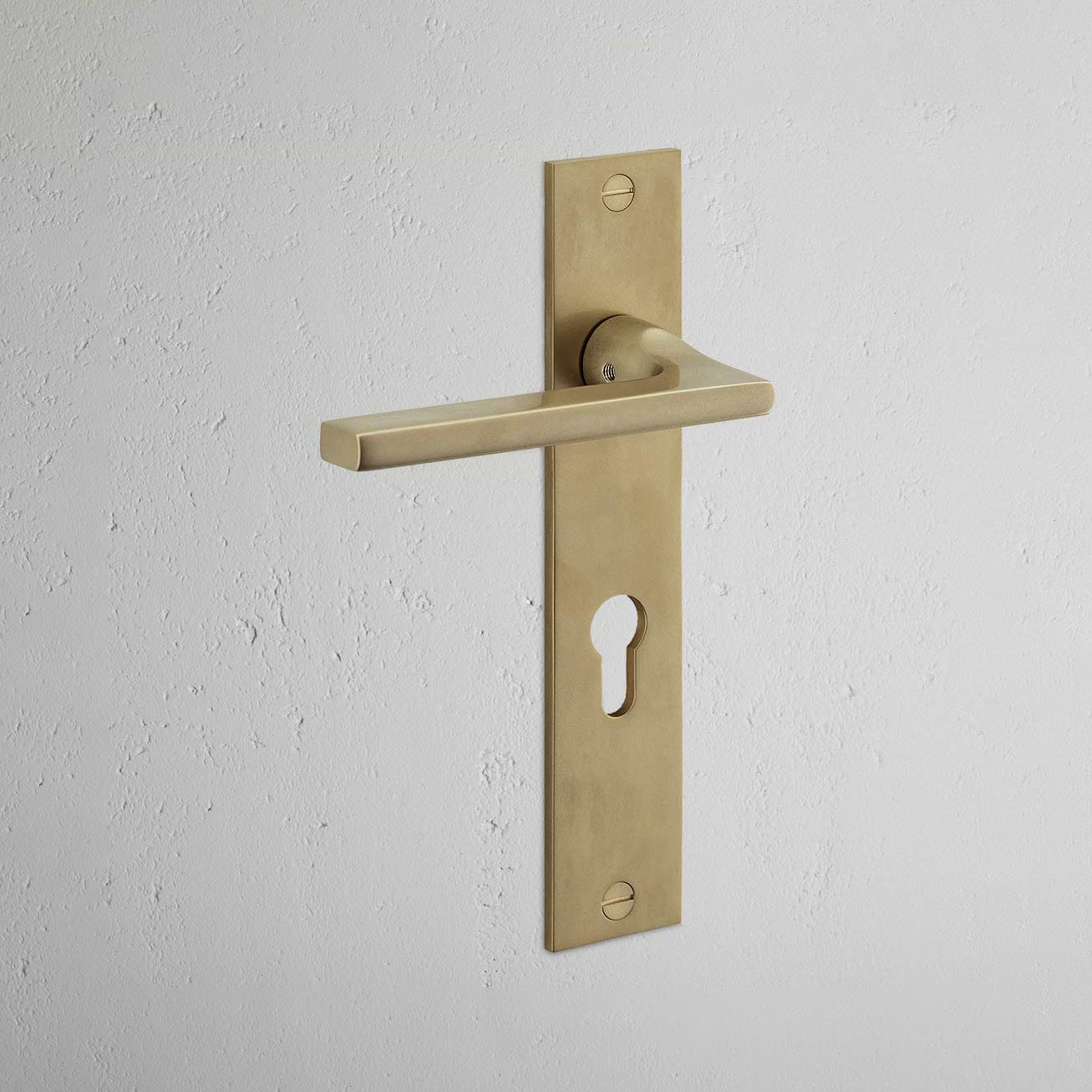 Clayton Long Plate Sprung Door Handle