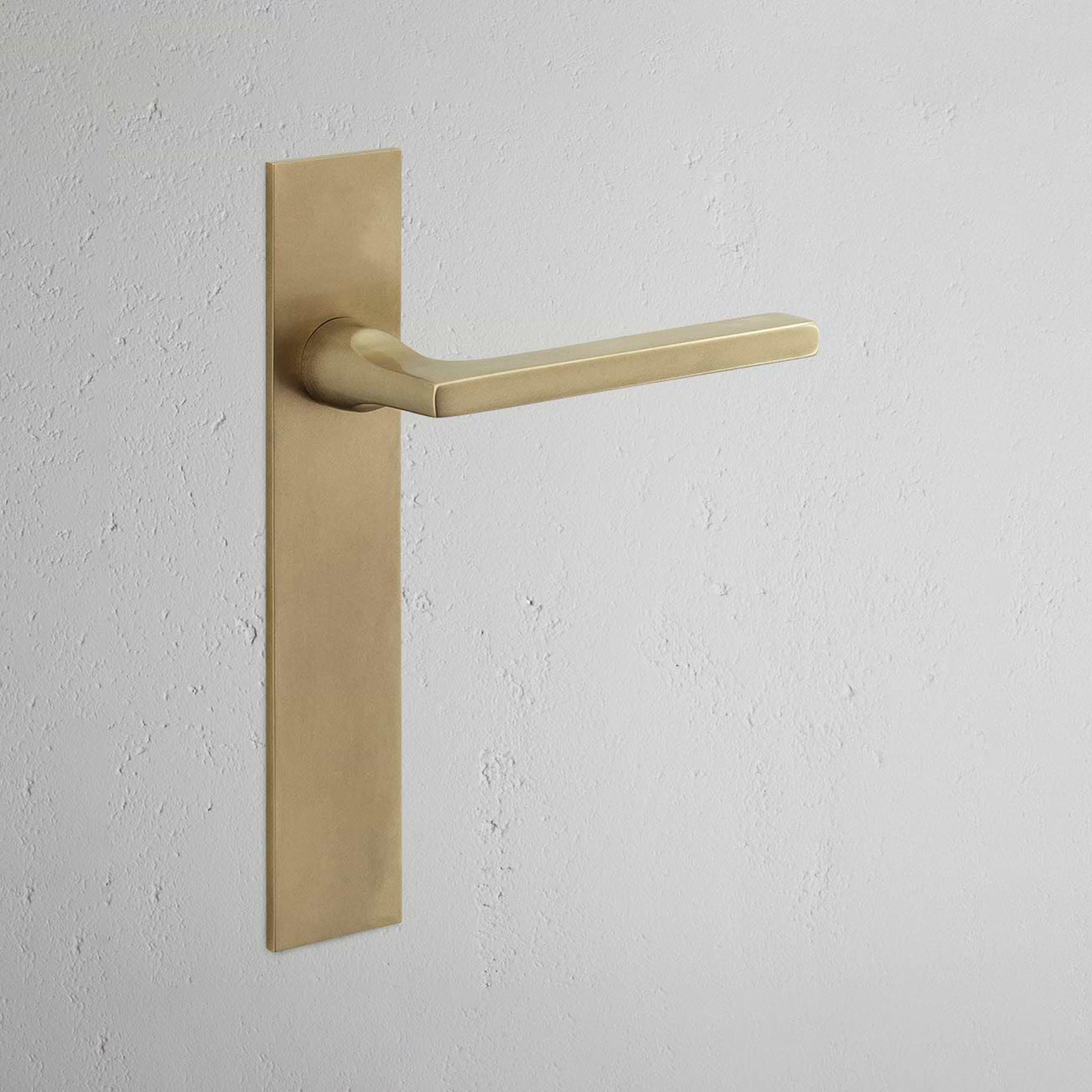 Clayton Long Plate Sprung Door Handle & Thumbturn