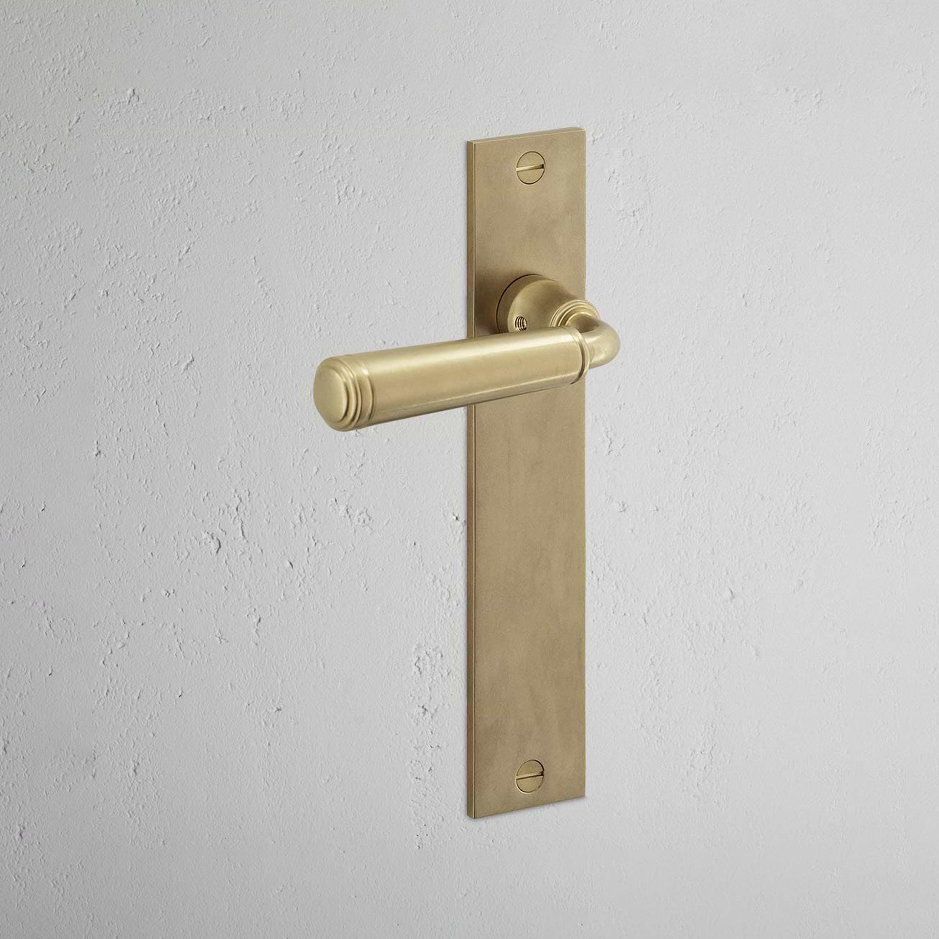 Display product Digby Long Plate Fixed Door Handle from manufacturer Corston Architectural Detail