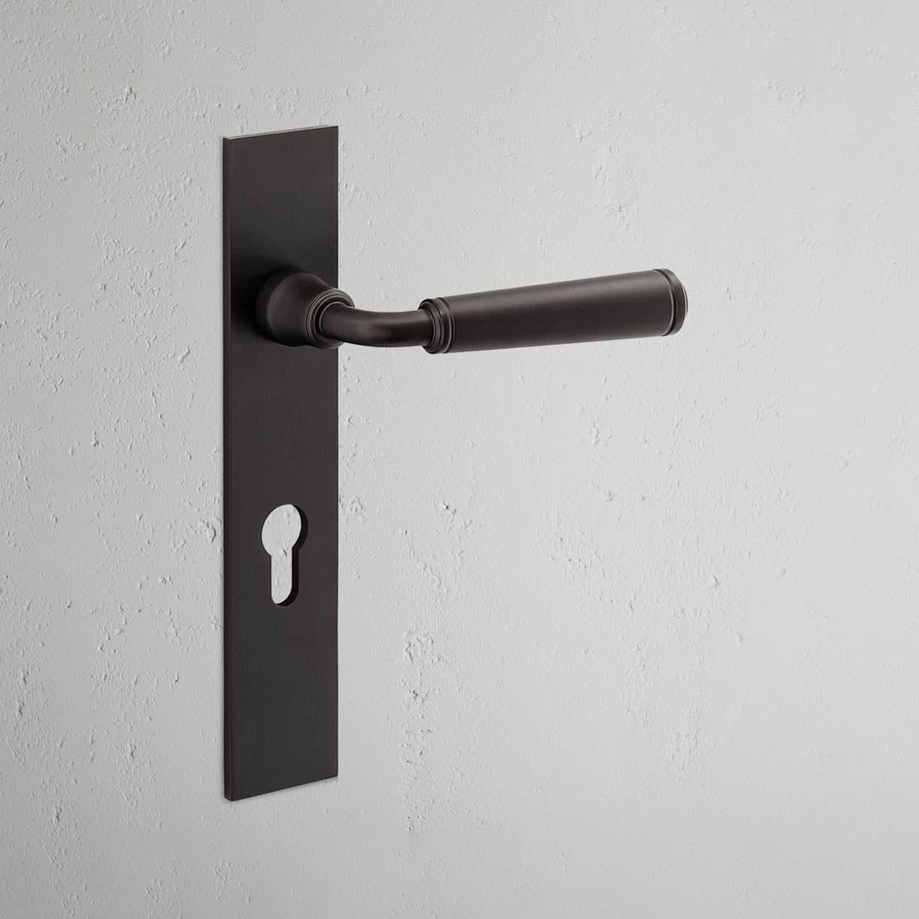 Digby Long Plate Sprung Door Handle
