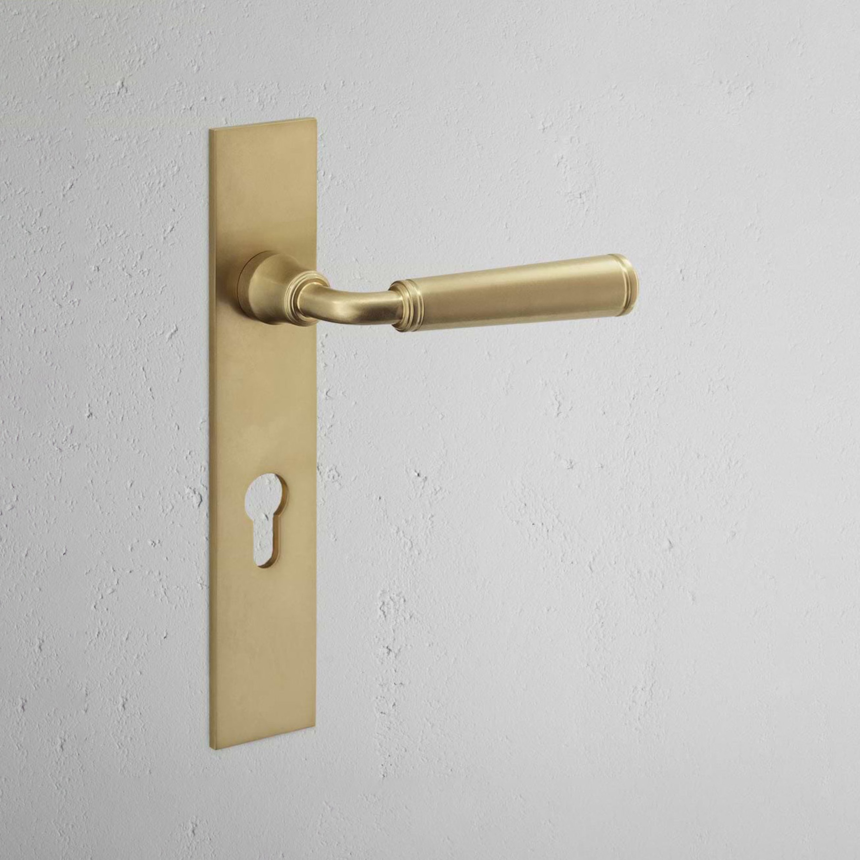 Digby Long Plate Sprung Door Handle