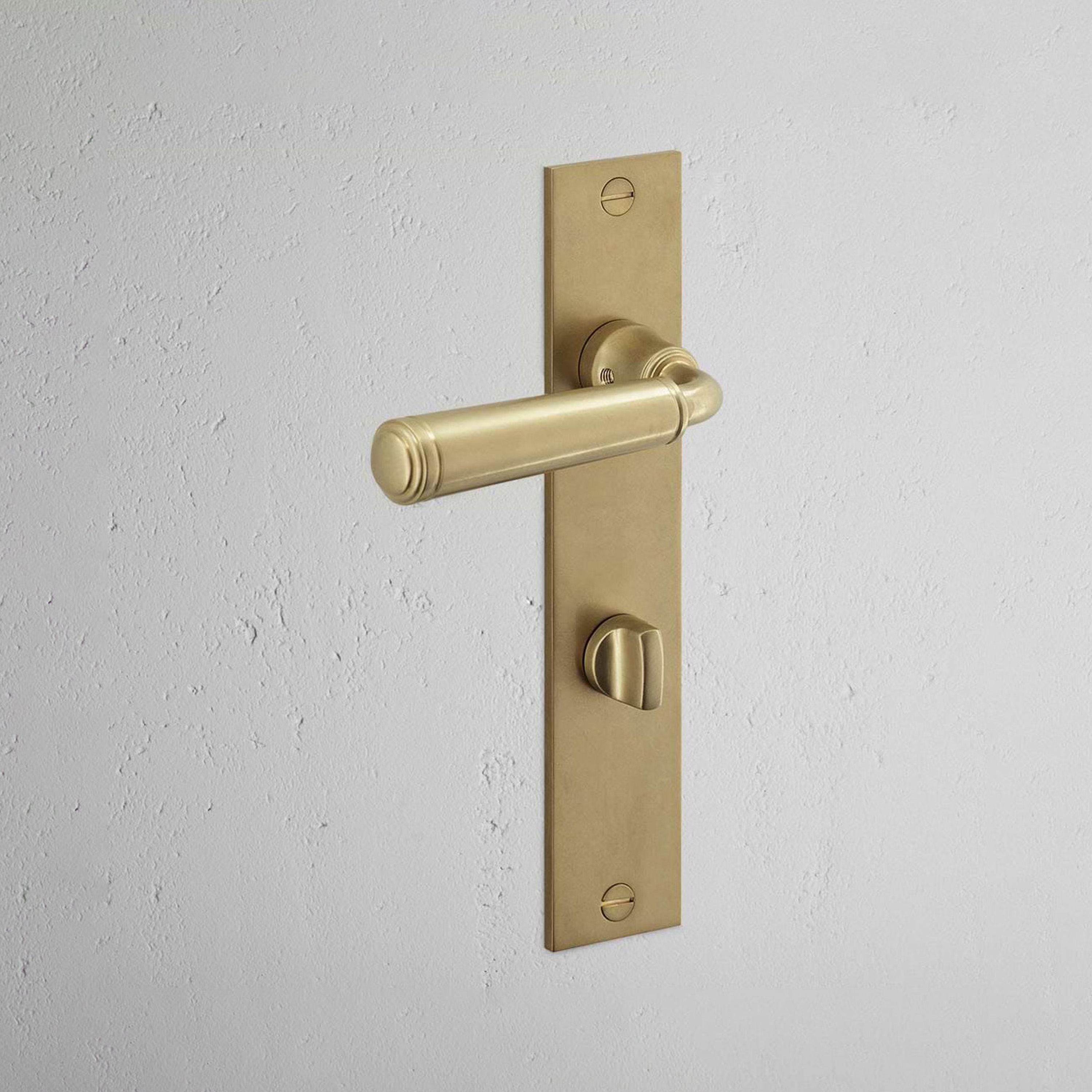 Digby Long Plate Sprung Door Handle & Euro Lock