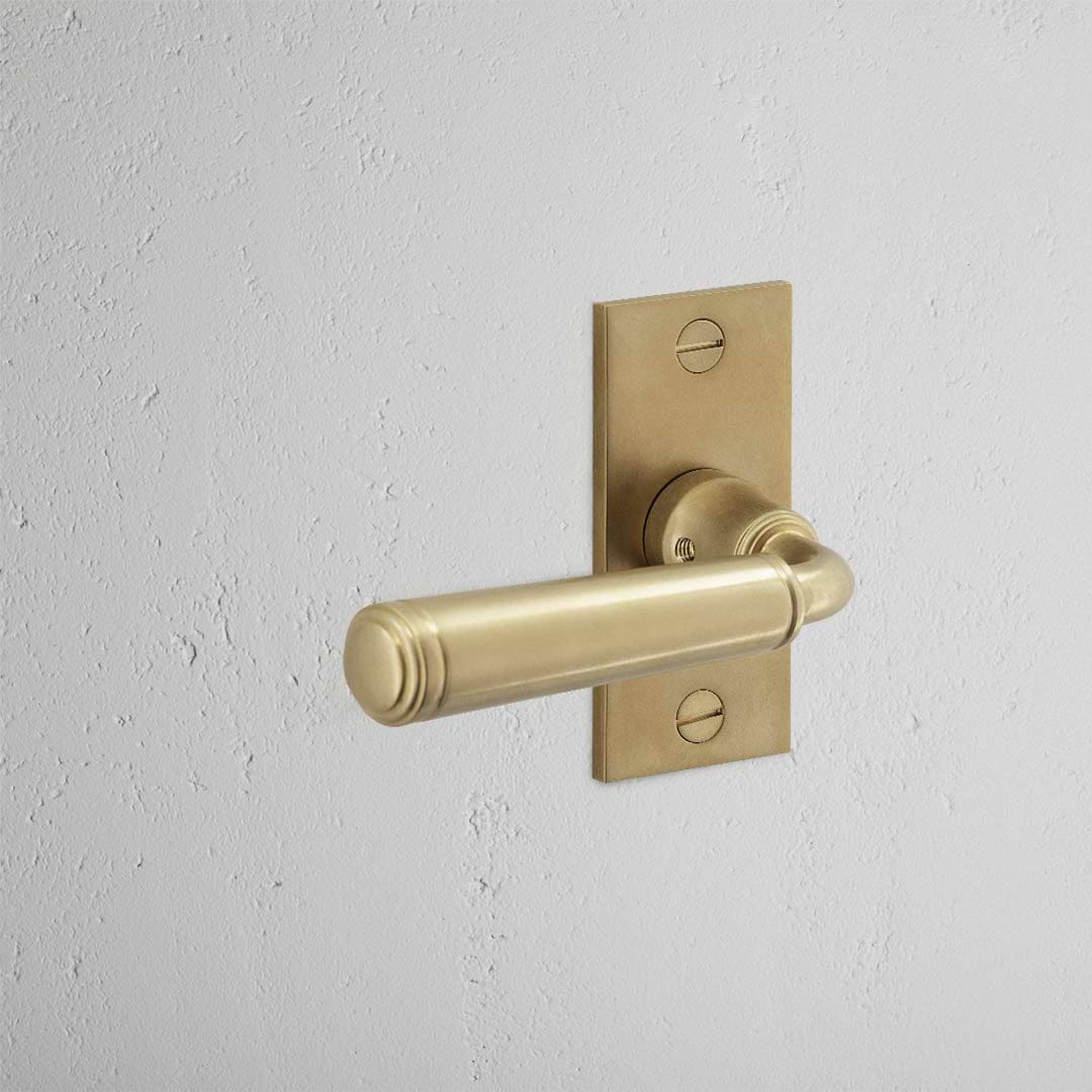 Mostra il prodotto Digby Short Plate Fixed Door Handle del produttore Corston Architectural Detail