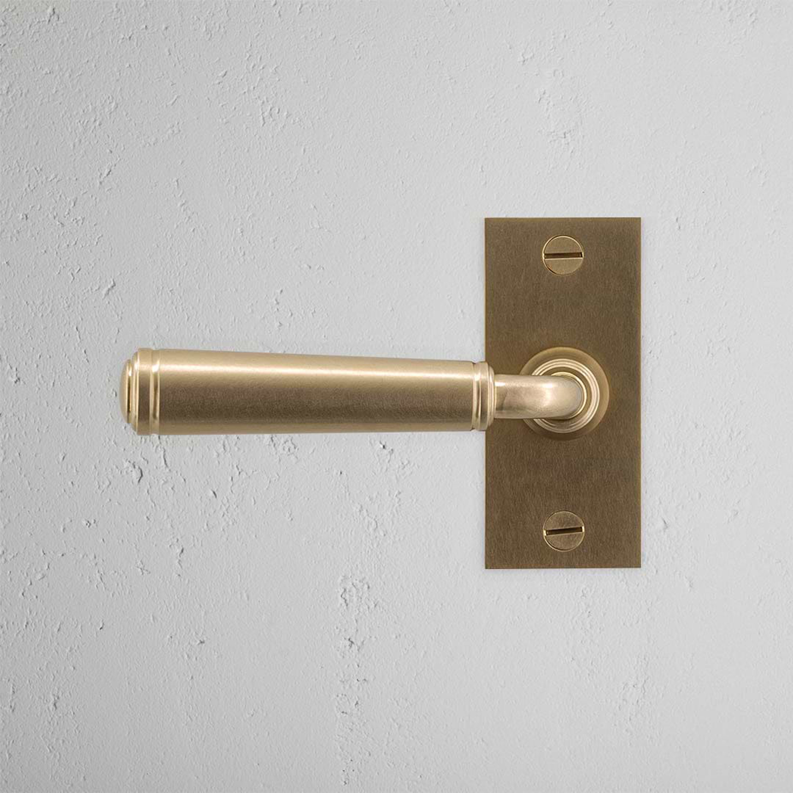 Mostrar el producto Manilla para puertas Digby con placa corta (con muelle) del fabricante Corston Architectural Detail