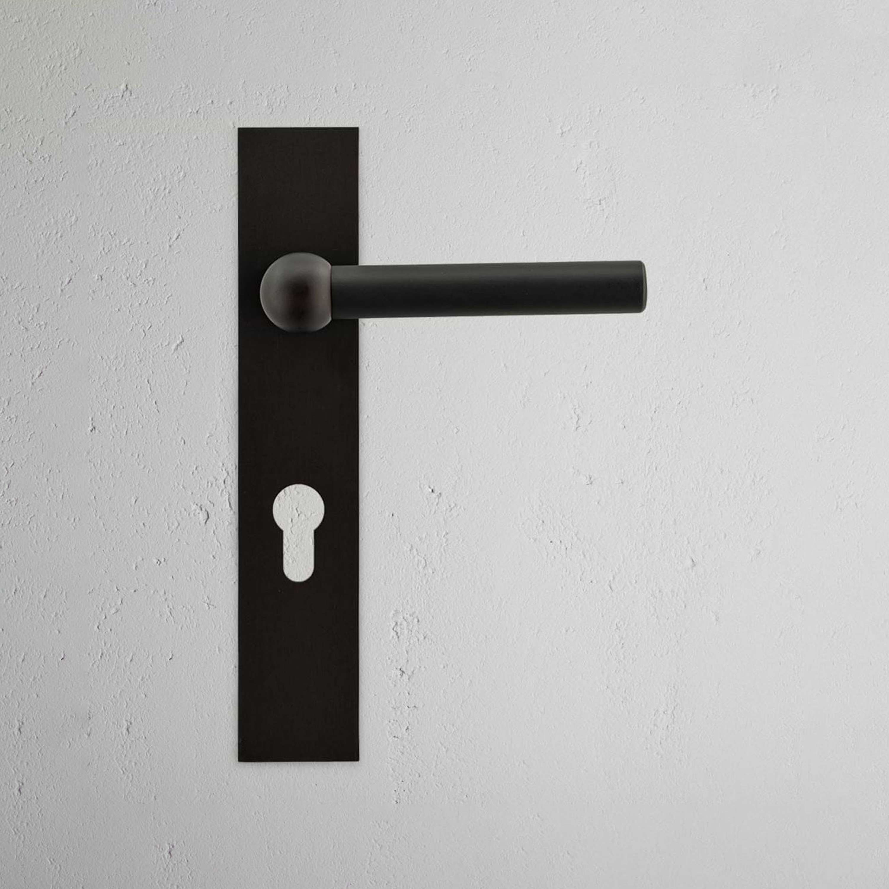 Manilla para puertas Harper con placa larga (con muelle)
