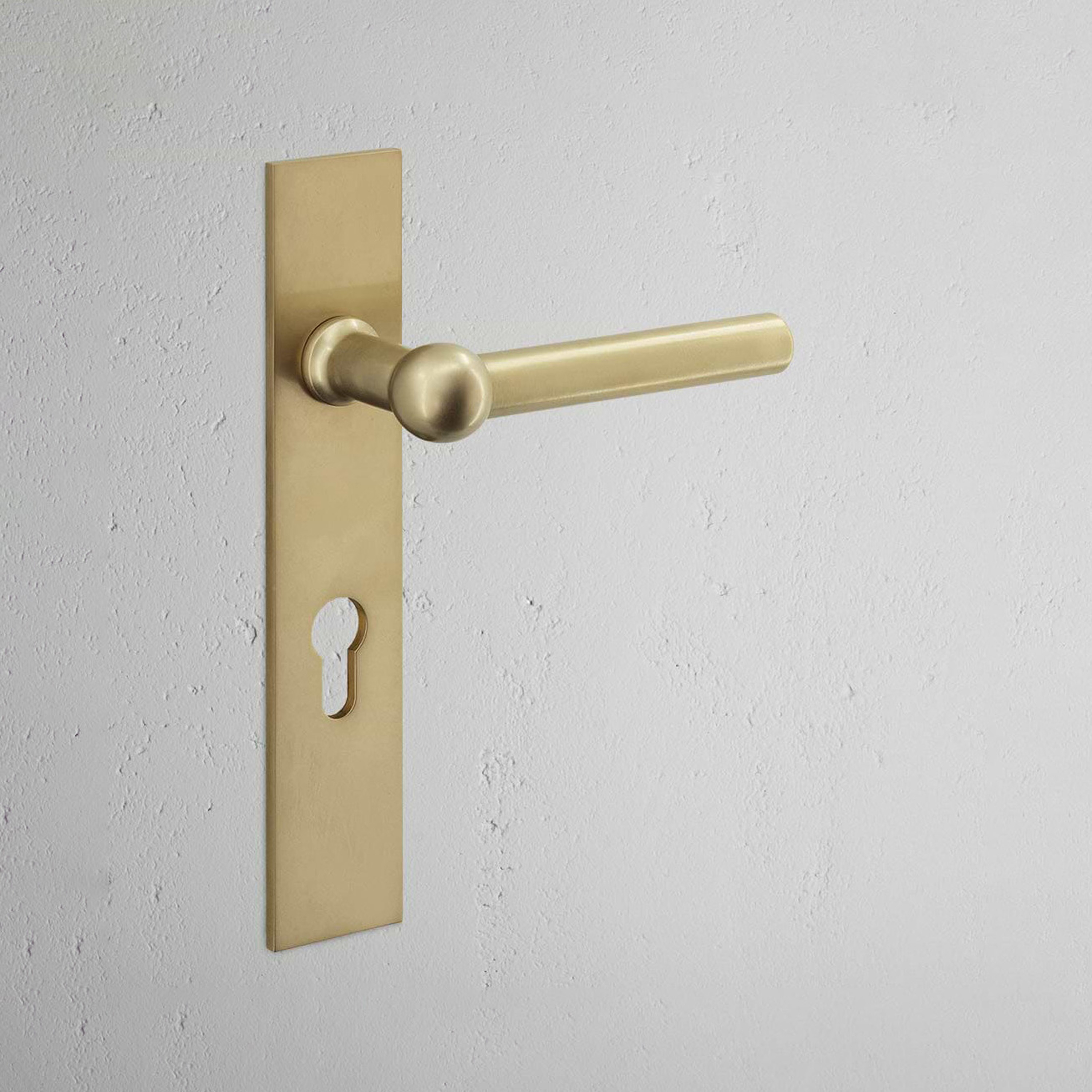 Mostrar el producto Manilla para puertas Harper con placa larga (con muelle) del fabricante Corston Architectural Detail
