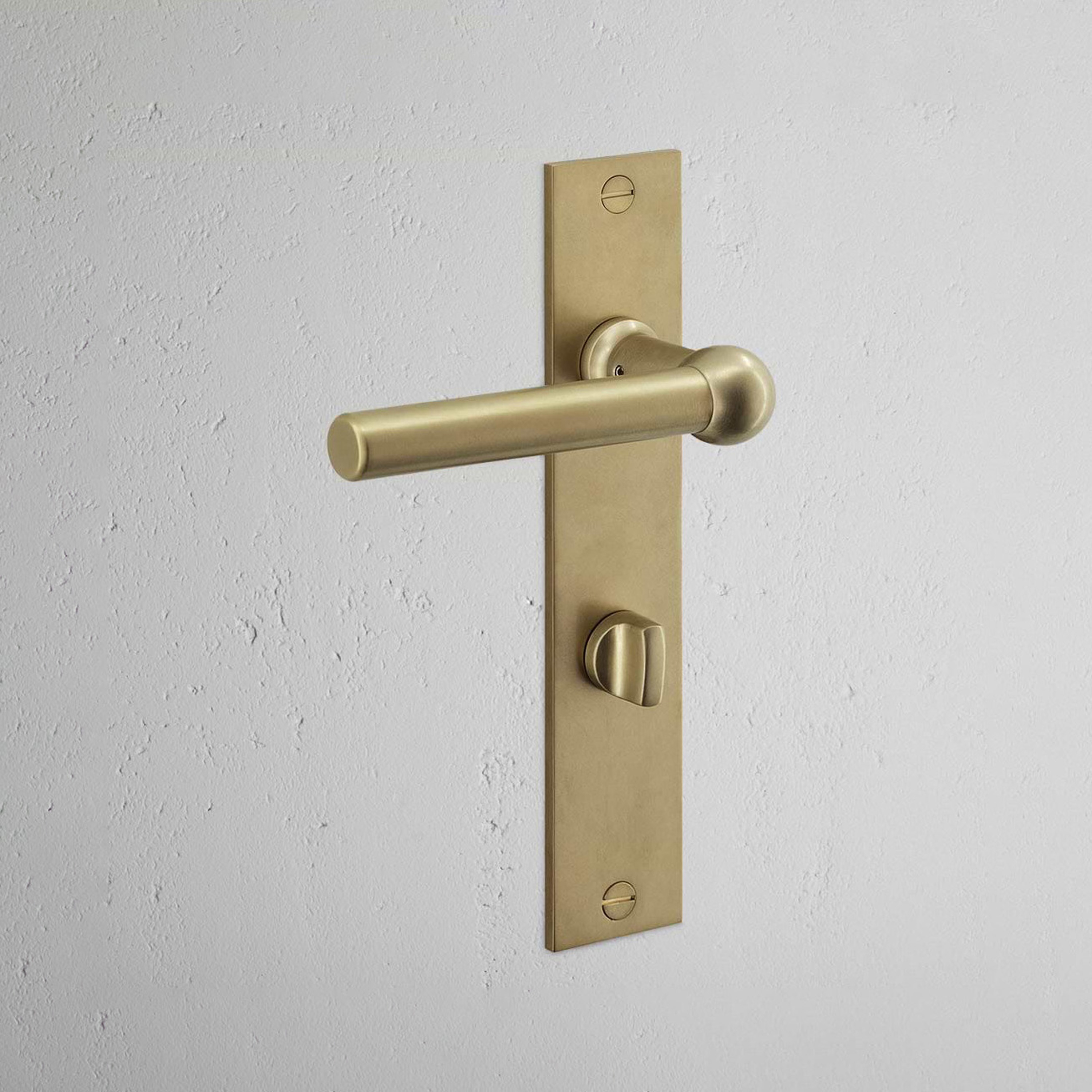 Harper Long Plate Sprung Door Handle & Euro Lock