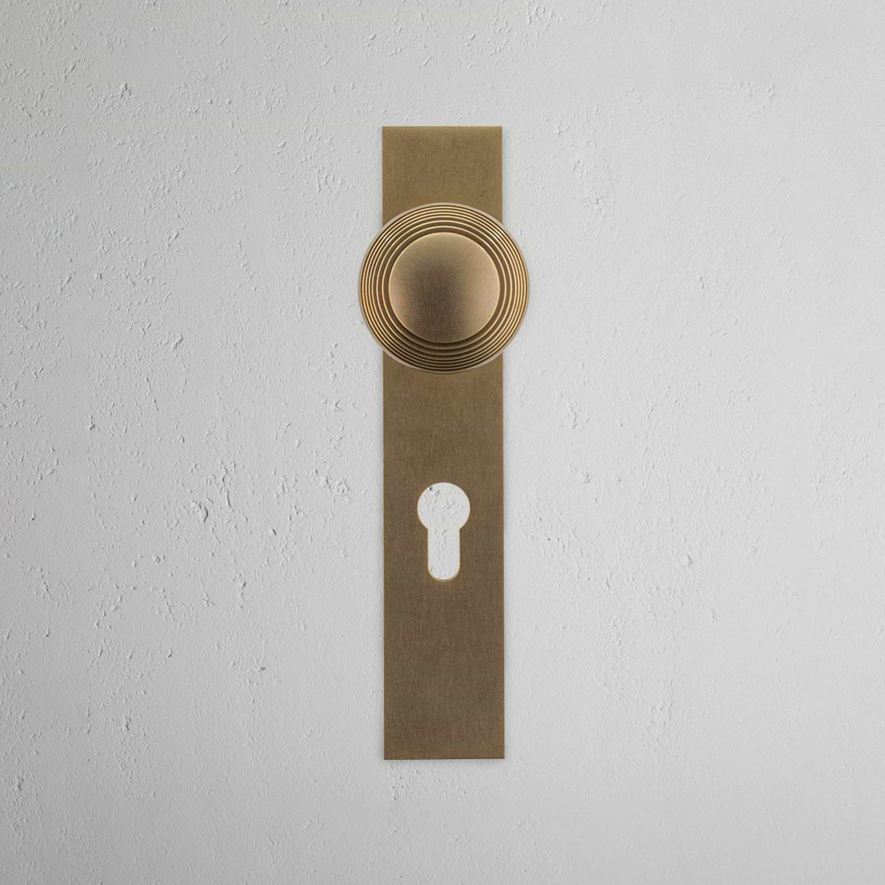Poplar Long Plate Sprung Door Knob