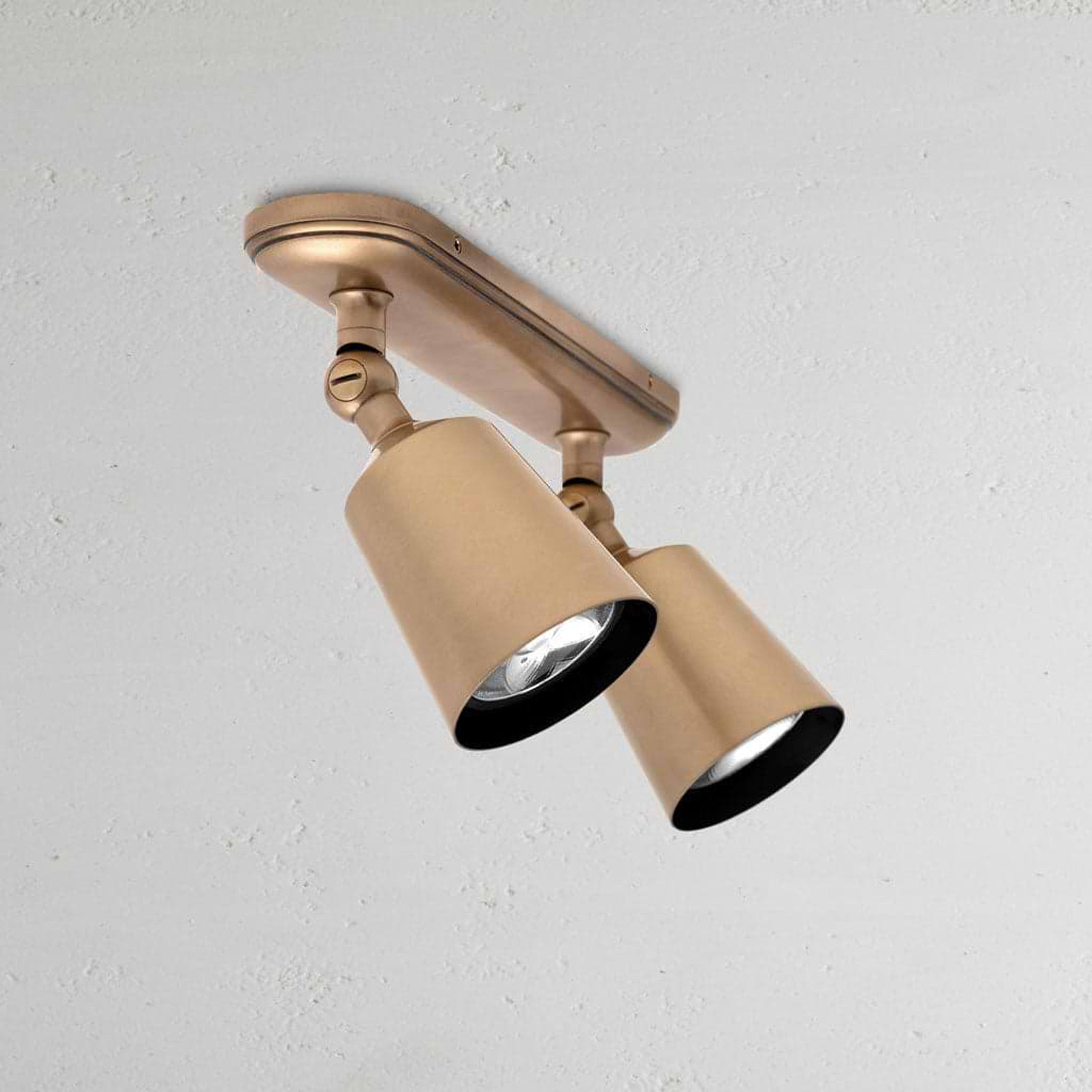 Baylis Double 50mm Spotlight