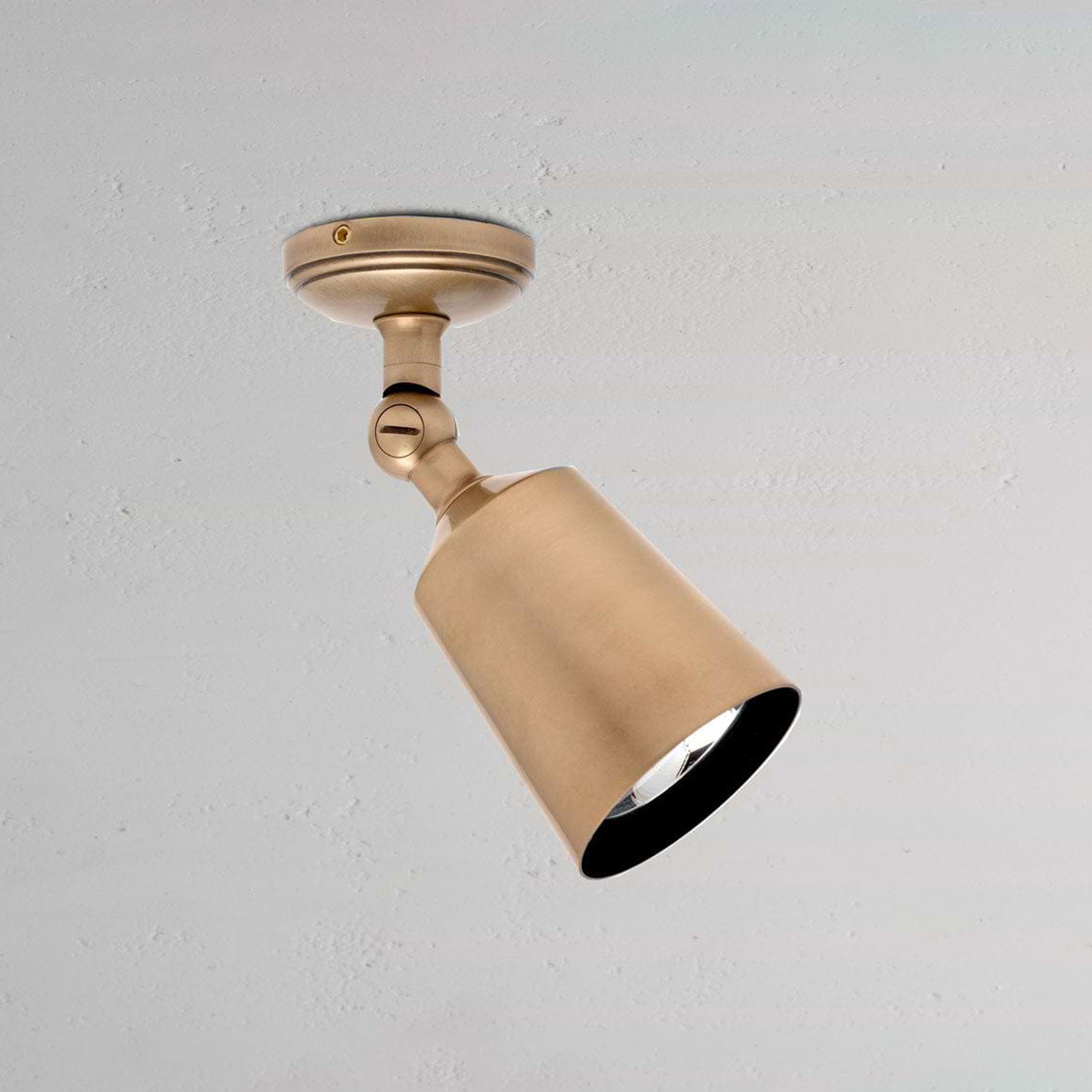 Baylis Single 50mm Spotlight